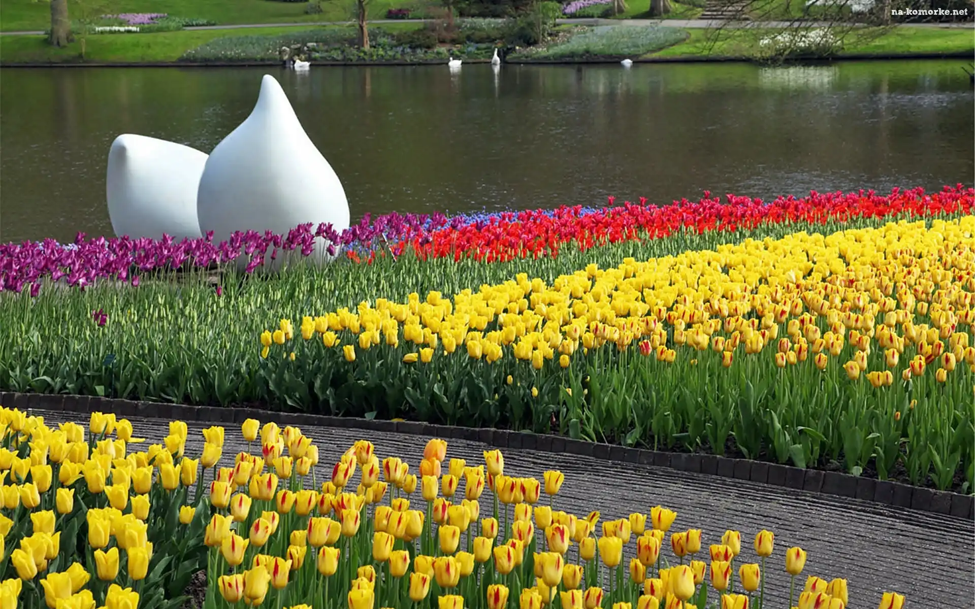 Wiosna, Biała, Rzeźba, Park, Staw, Kwitnące, Tulipany