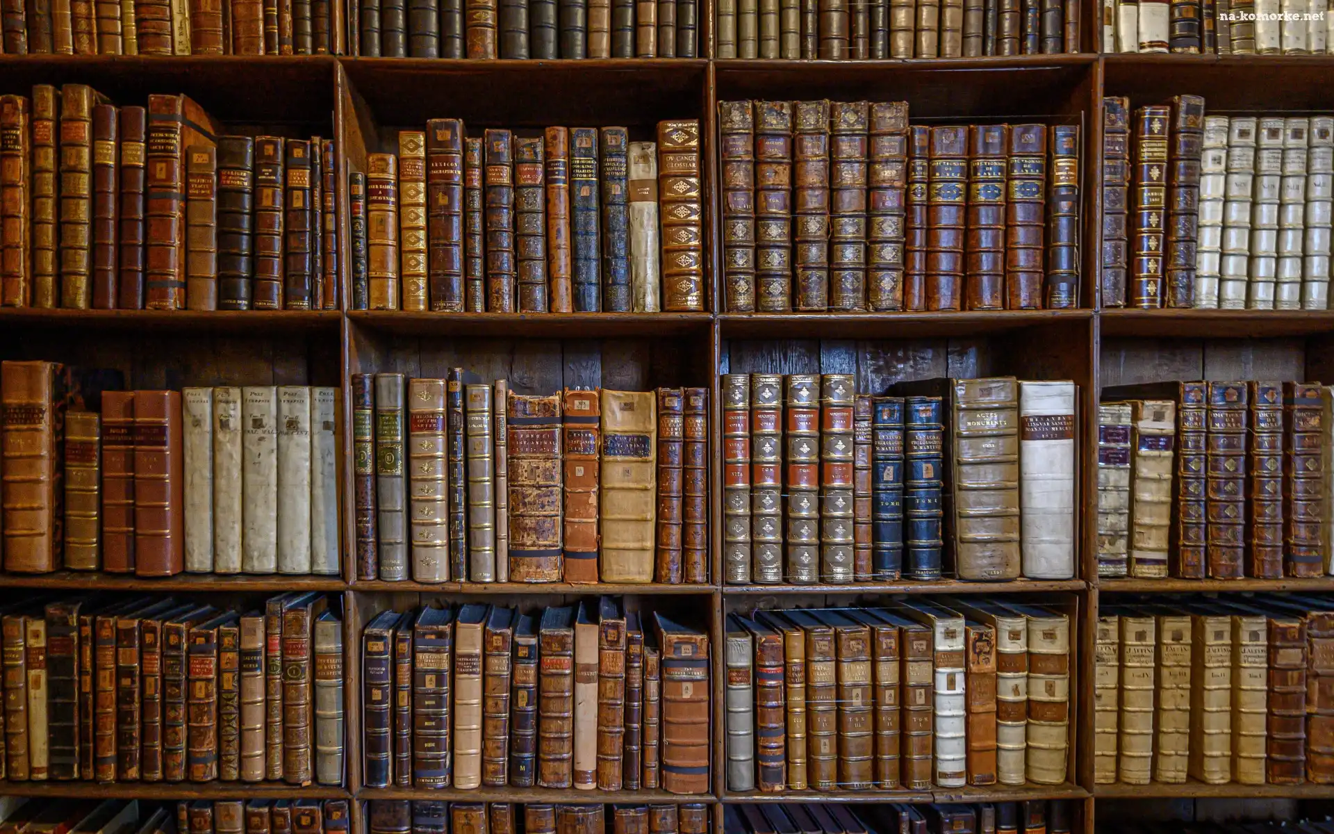 Biblioteka, Regał, Książki, Półki