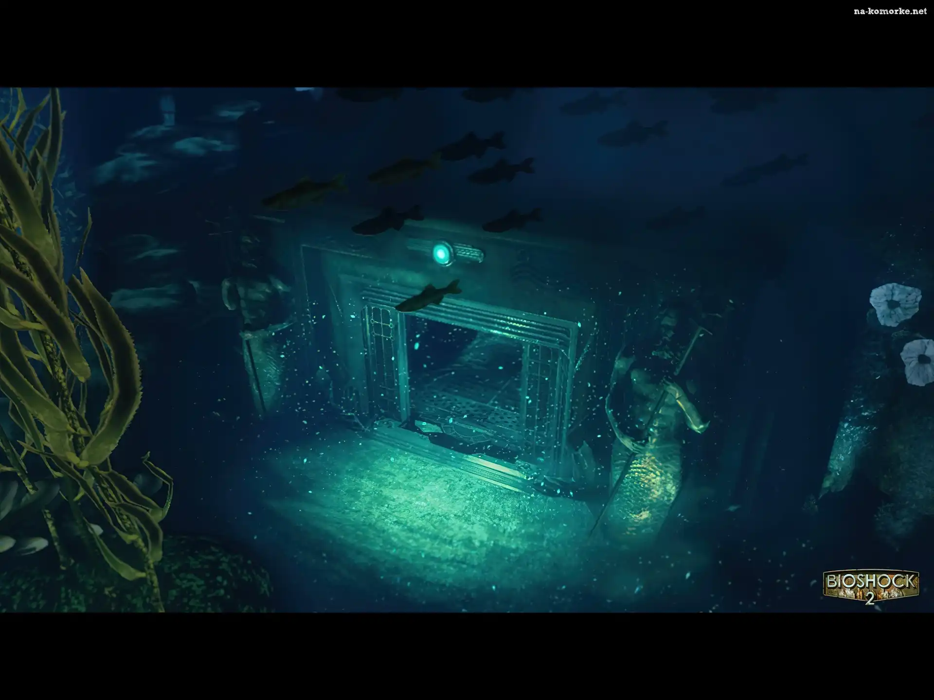 Bioshock 2, Woda, Ryby