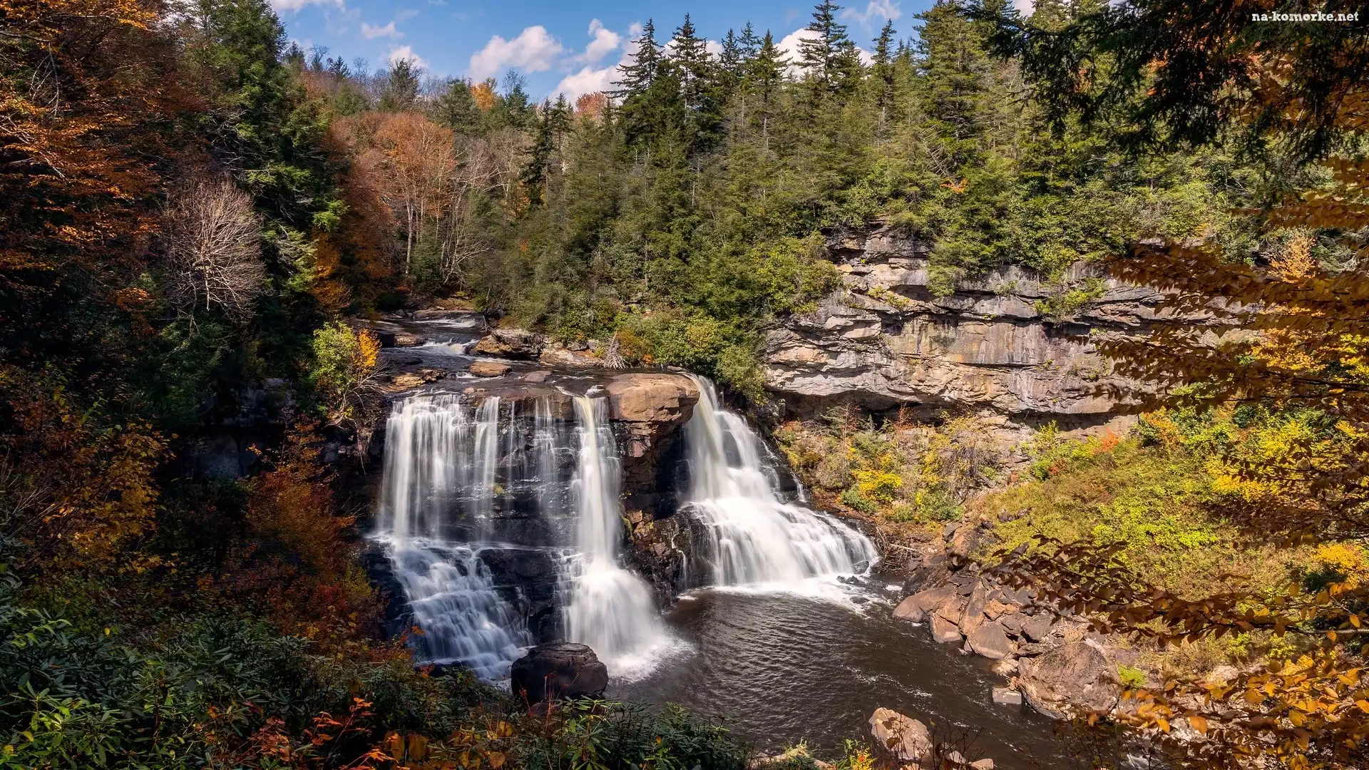 Blackwater Falls, Wirginia, Rośliny, Skały, Rzeka Blackwater, Stany Zjednoczone, Drzewa, Wodospad