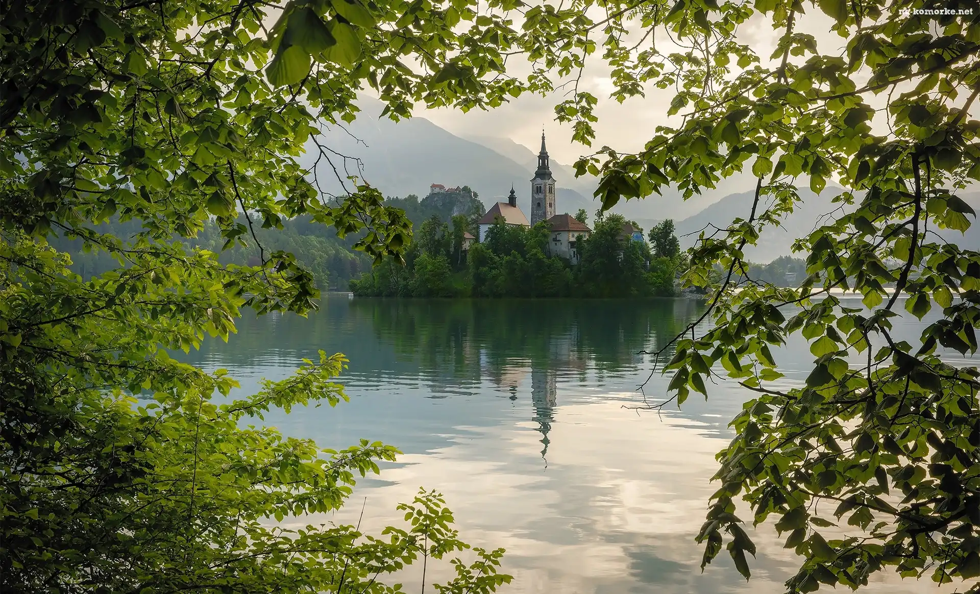 Kościół Zwiastowania Marii Panny, Jezioro Bled, Słowenia, Gałęzie, Wyspa Blejski Otok, Zieleń