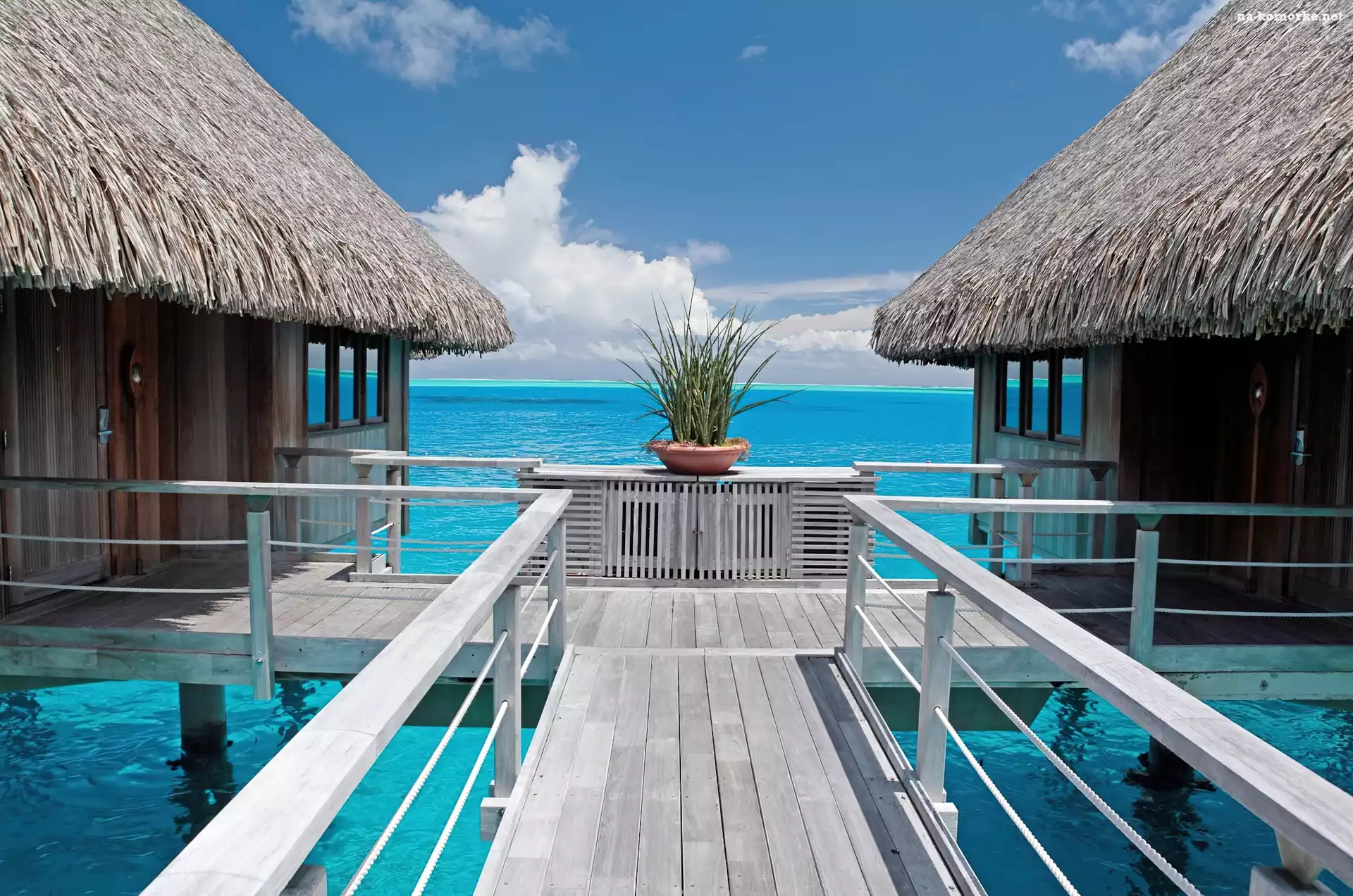 Błękitna, Na, Domy, Tahiti, Palach, Laguna