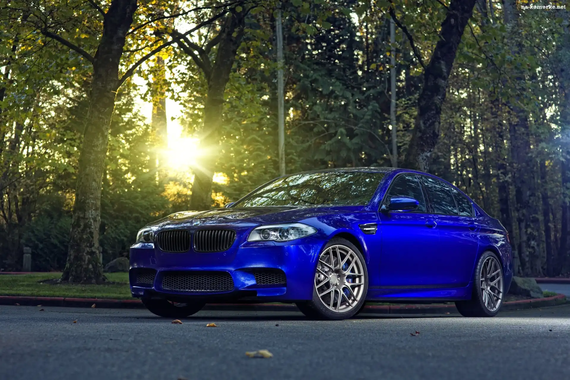 BMW, Las, Promienie, Słońca, Niebieskie