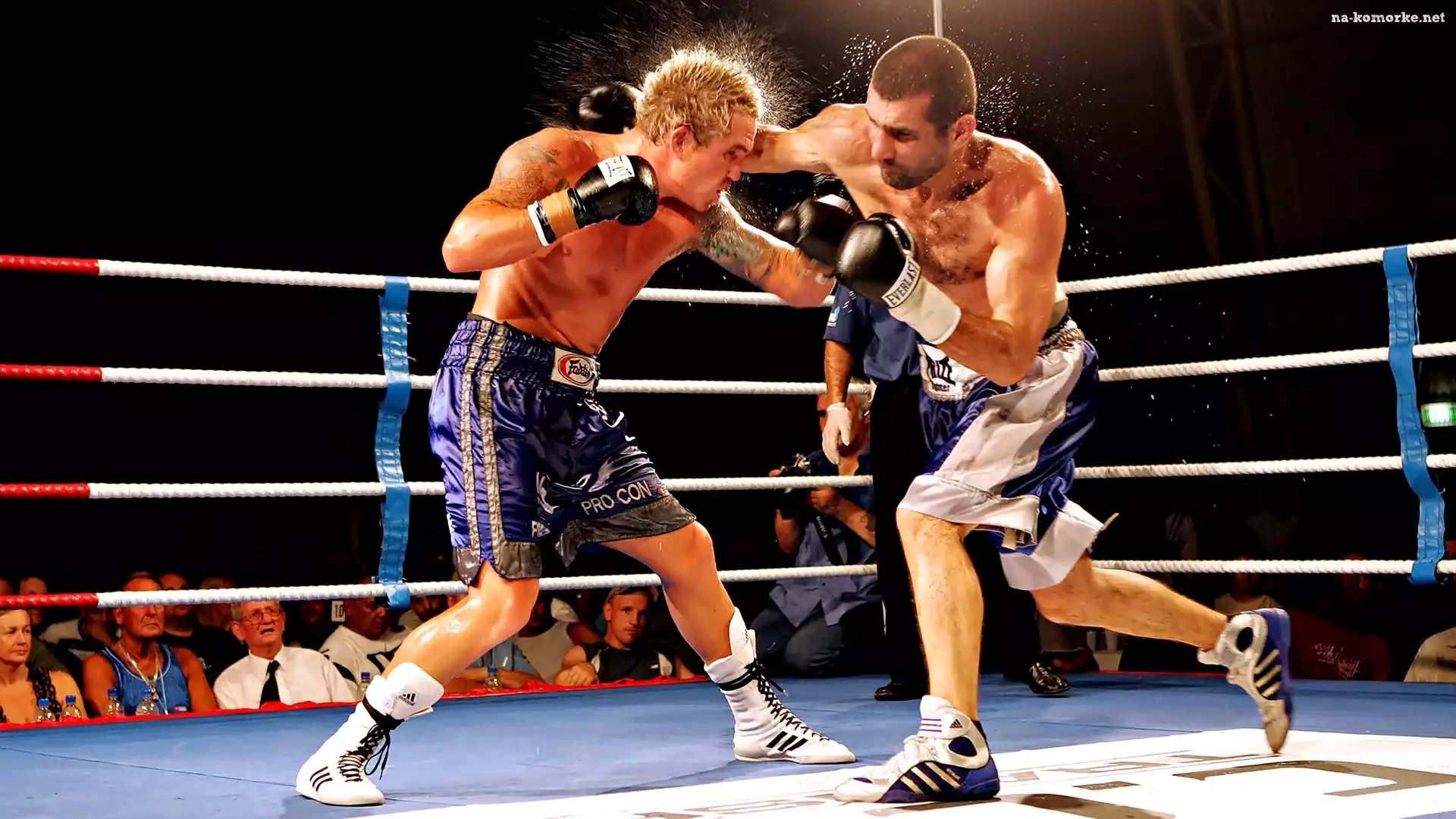 Boks, Zawodnicy, Walka, Ring
