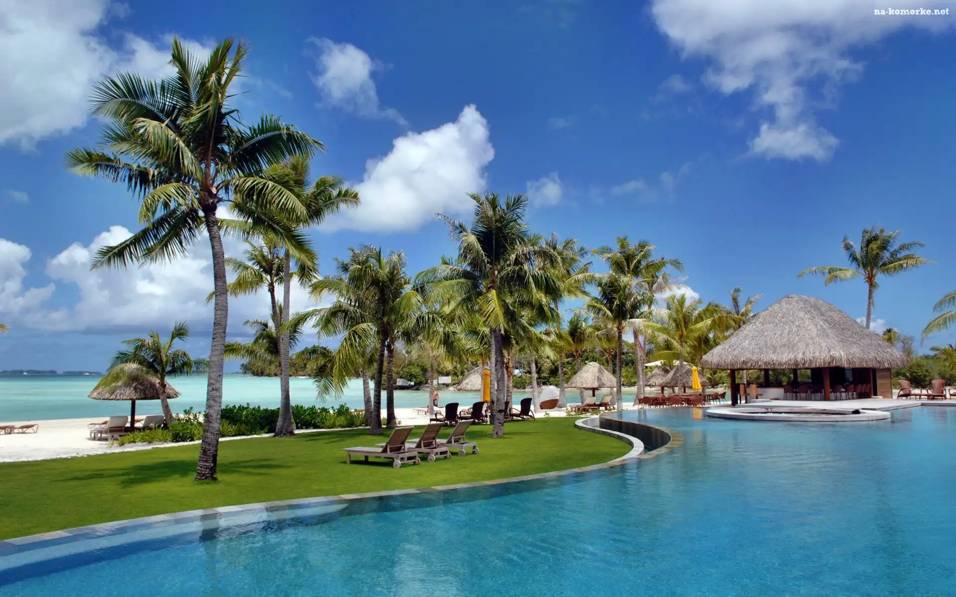 Bora Bora, Ocean, Palmy, Basen, Kurort