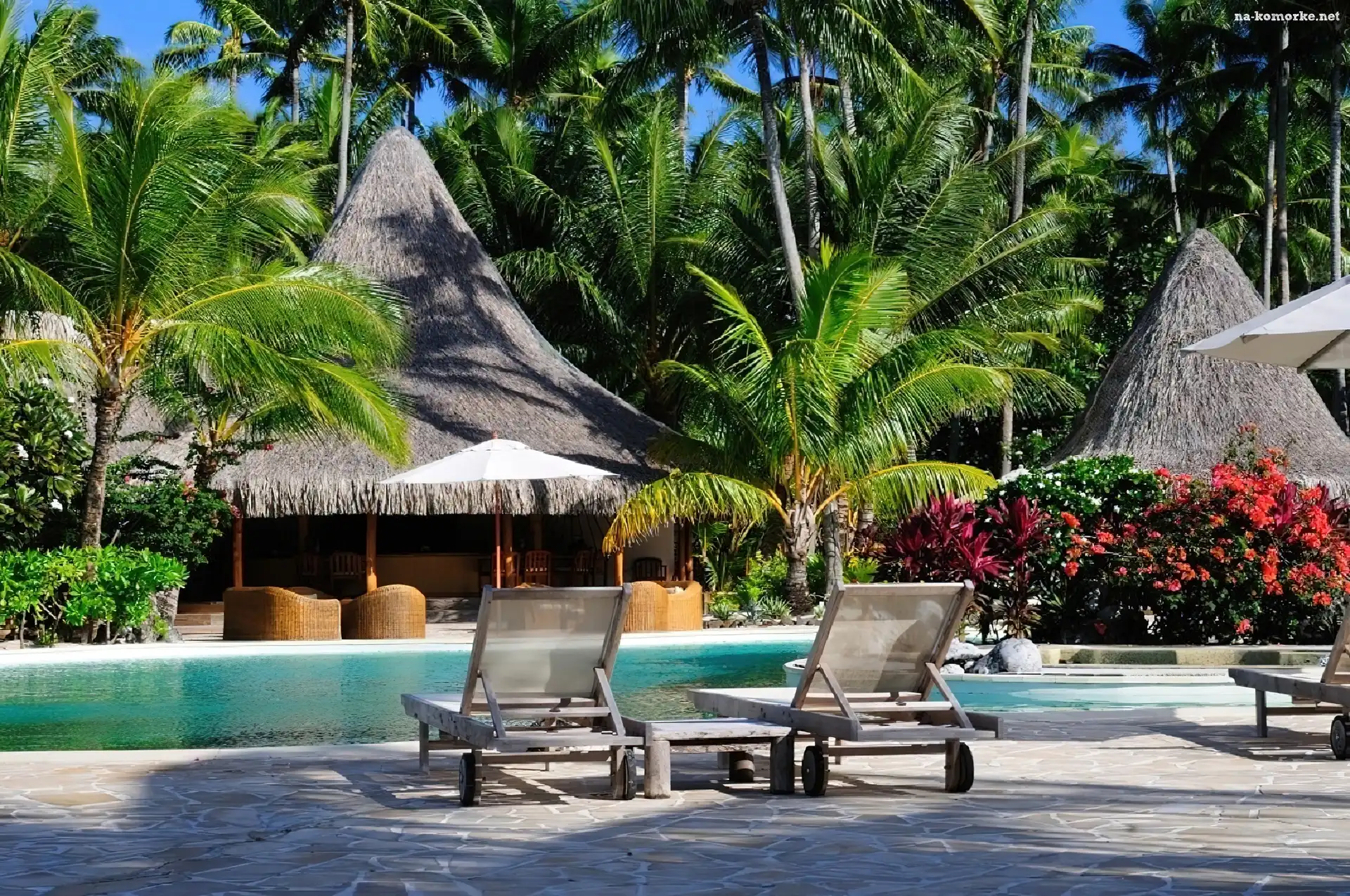 Bora Bora, Hotel, Palmy