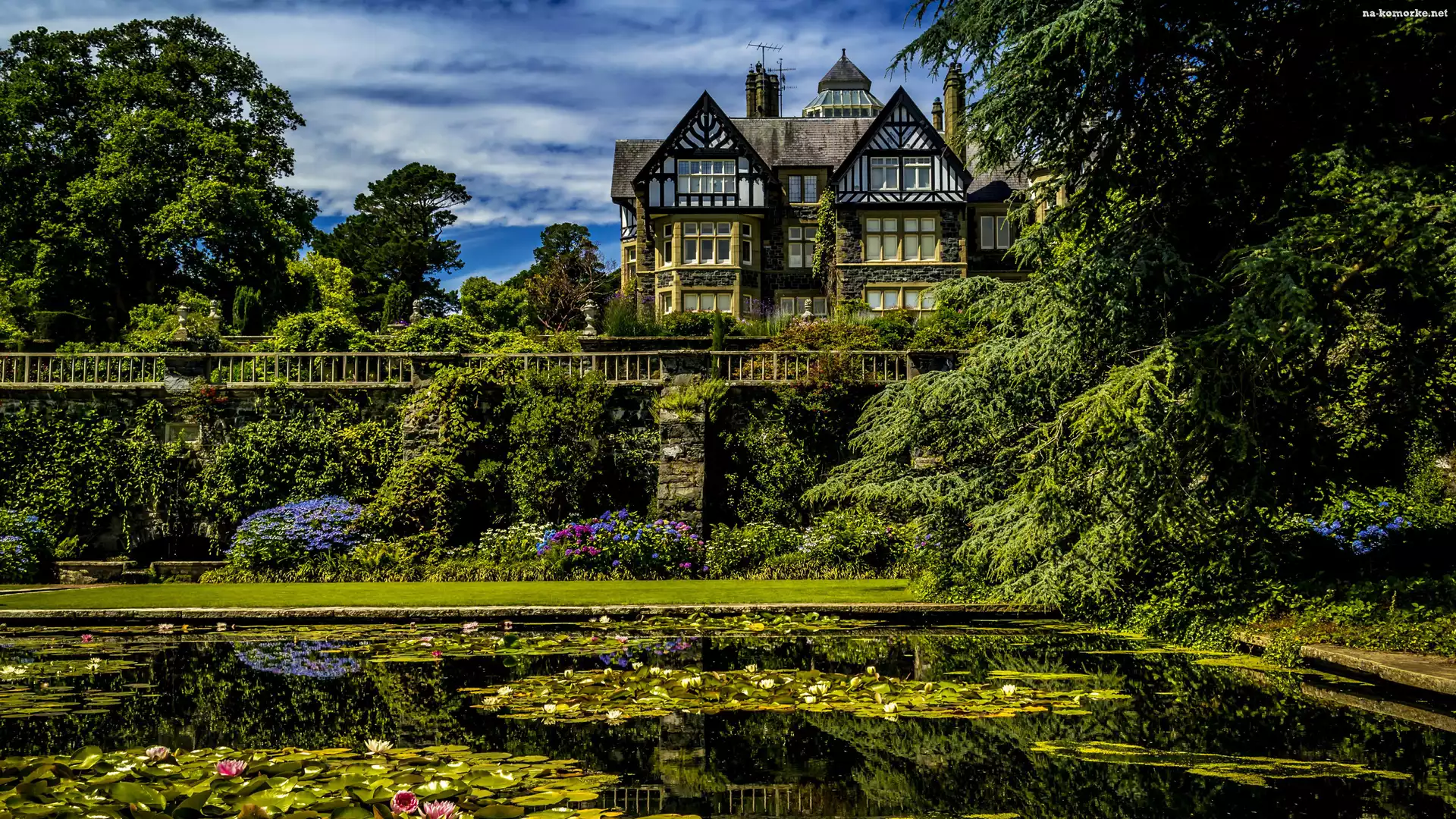 Walia, Roślinność, Lilie wodne, Ogród Botaniczny Bodnant Garden, Dom, Bodnant House, Staw