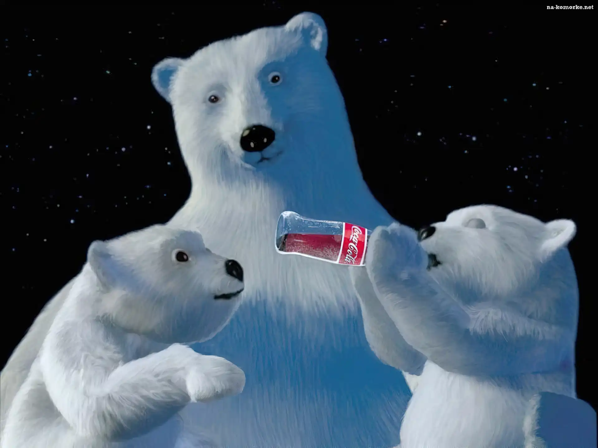 Boże Narodzenie, Coca Cola , niedźwiadki