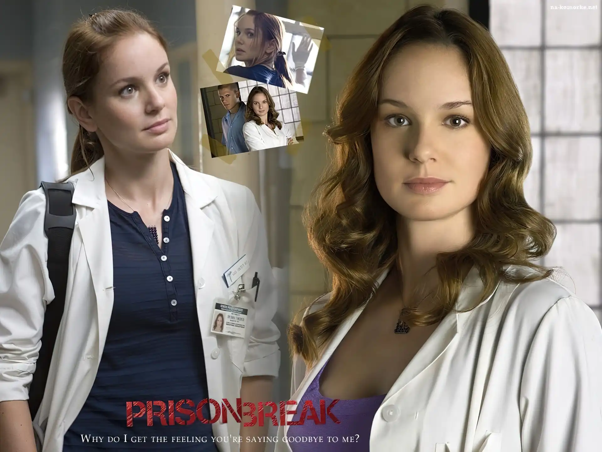 Prison Break, okno, Sarah Wayne Callies, fartuch