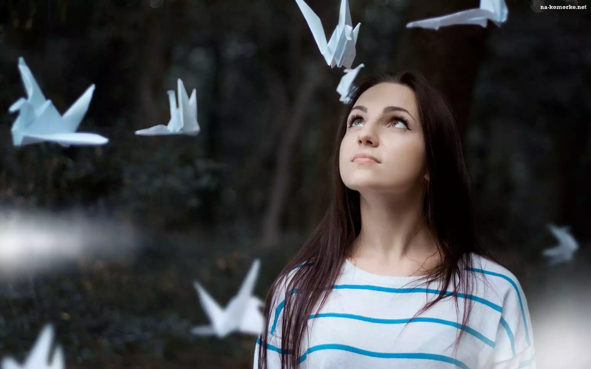 Dziewczyna, Brunetka, Origami