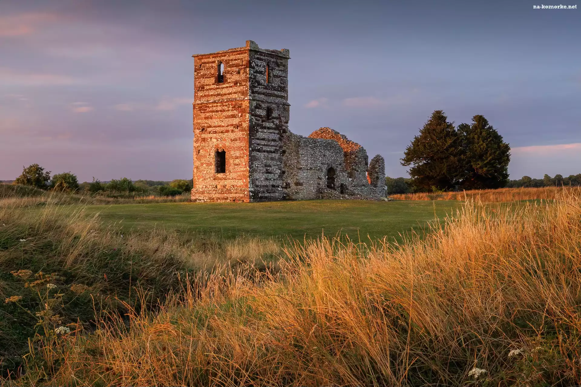 Drzewa, Knowlton Church, Zachód Słońca, Kościół, Wimborne, Anglia, Wielka Brytania, Ruiny, Trawa