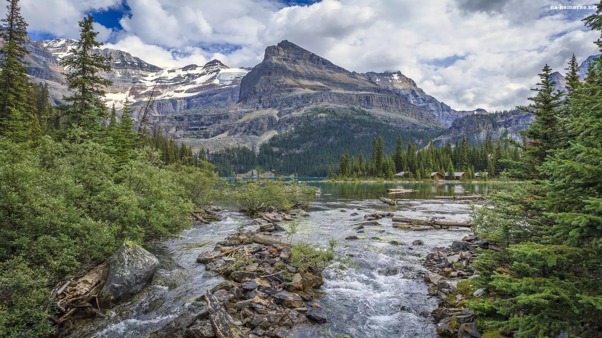 Góry Canadian Rockies, Kolumbia Brytyjska, Kanada, Drzewa, Park Narodowy Yoho, Jezioro O’Hara