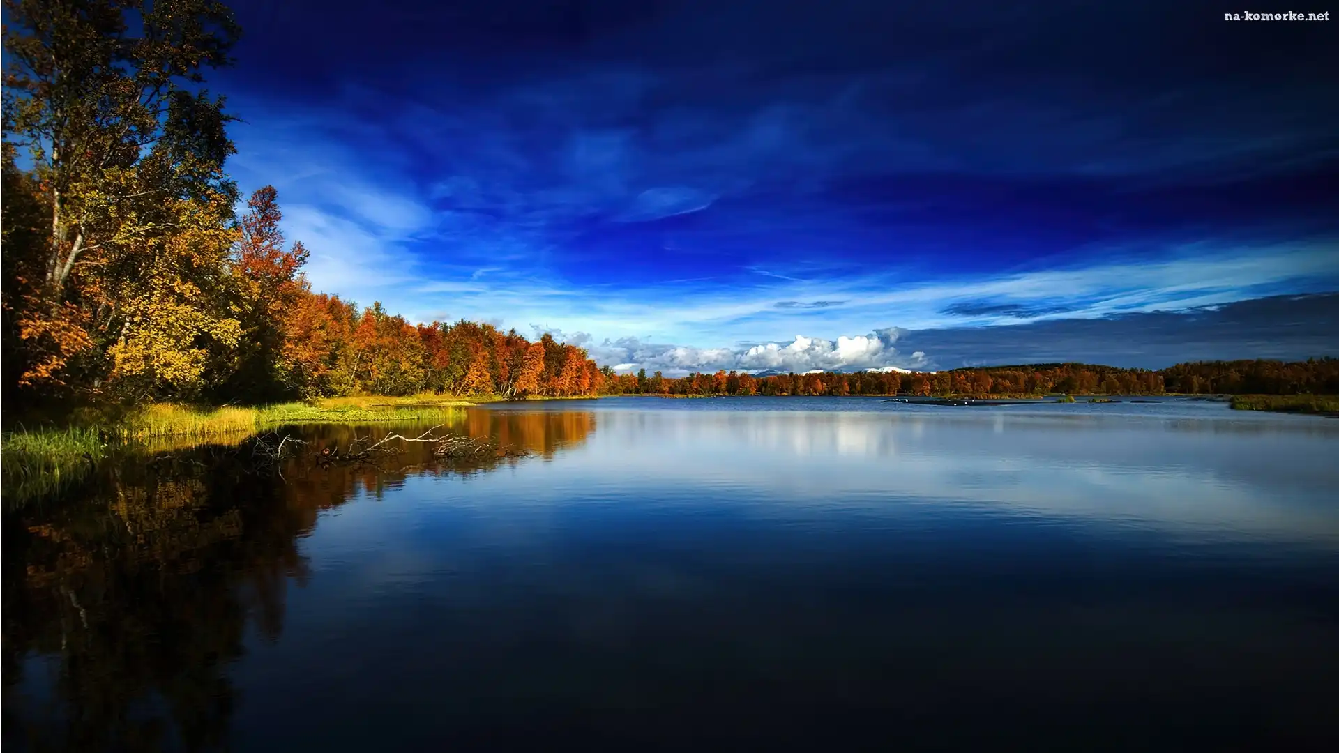 Brzegi, Norwegia, Jezioro, Porośnięte, Lasem
