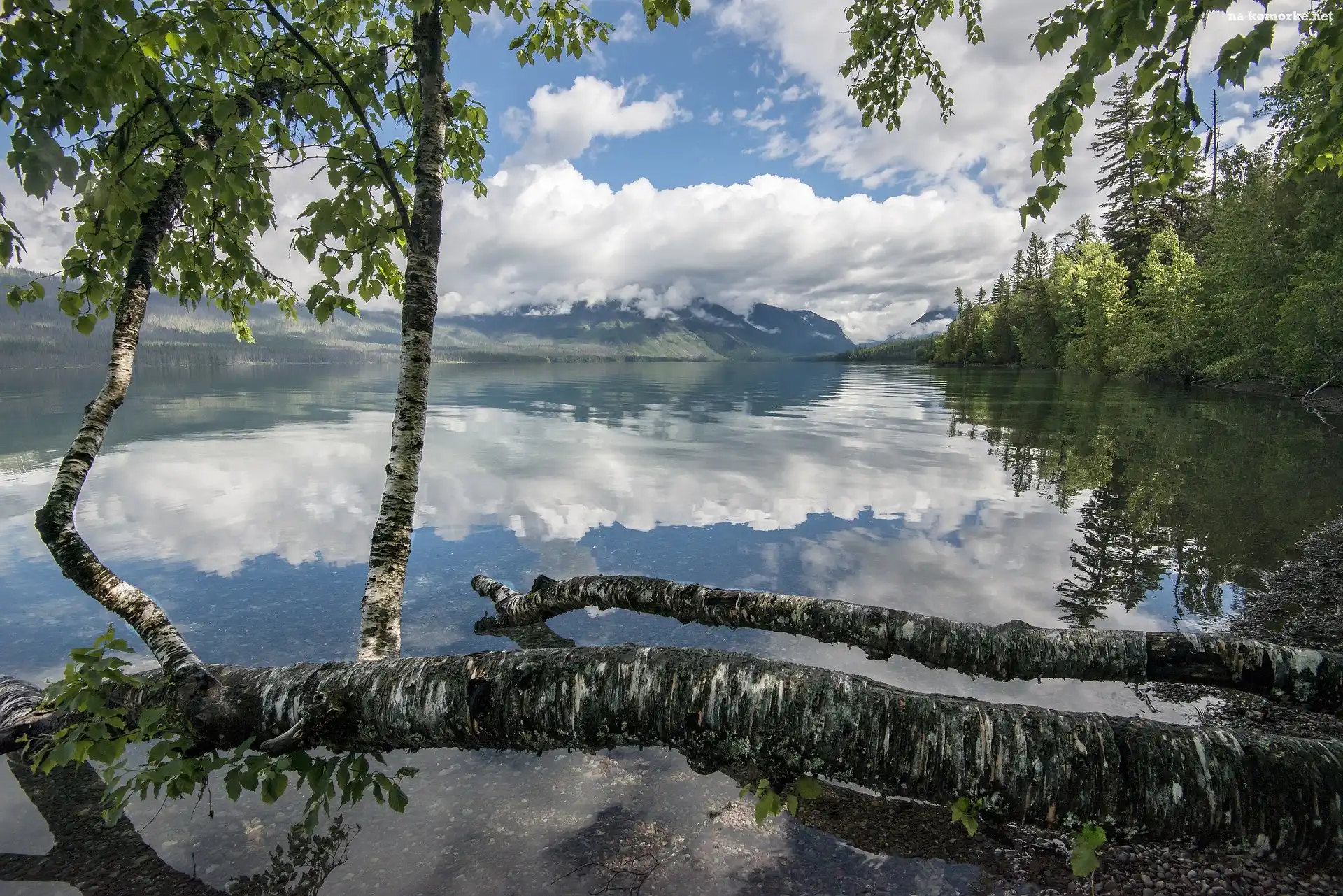 Brzozy, Jezioro Lake McDonald, Odbicie, Góry, Stany Zjednoczone, Drzewa, Stan Montana, Chmury, Park Narodowy Glacier