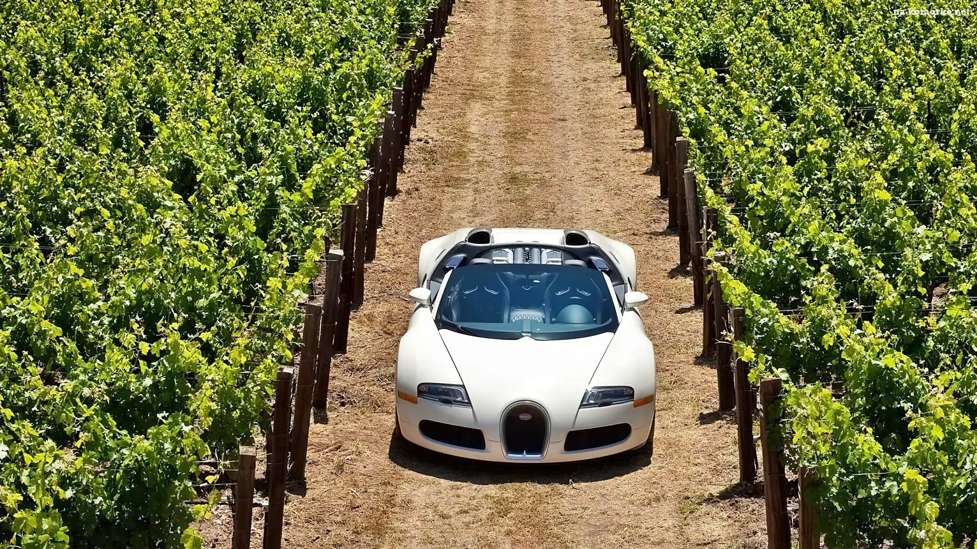 Bugatti Veyron Grand Sport