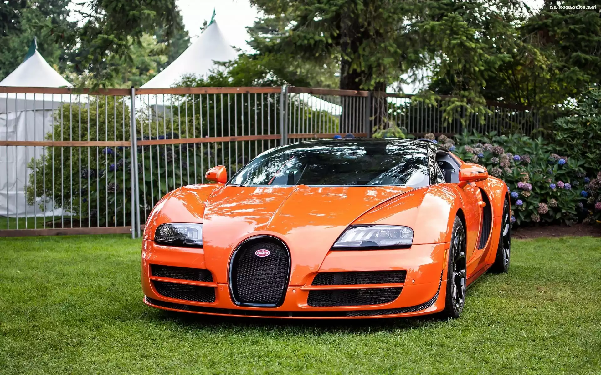 Bugatti, Ogrodzenie, Posesja, Kwiaty