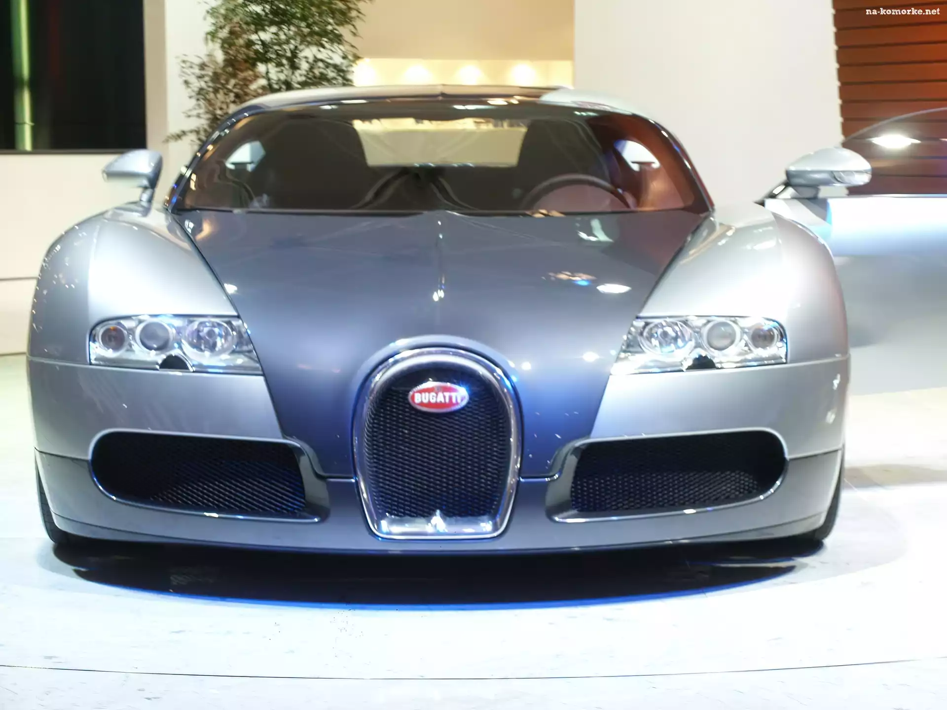 Bugatti Veyron, Silver, Światła, Przód
