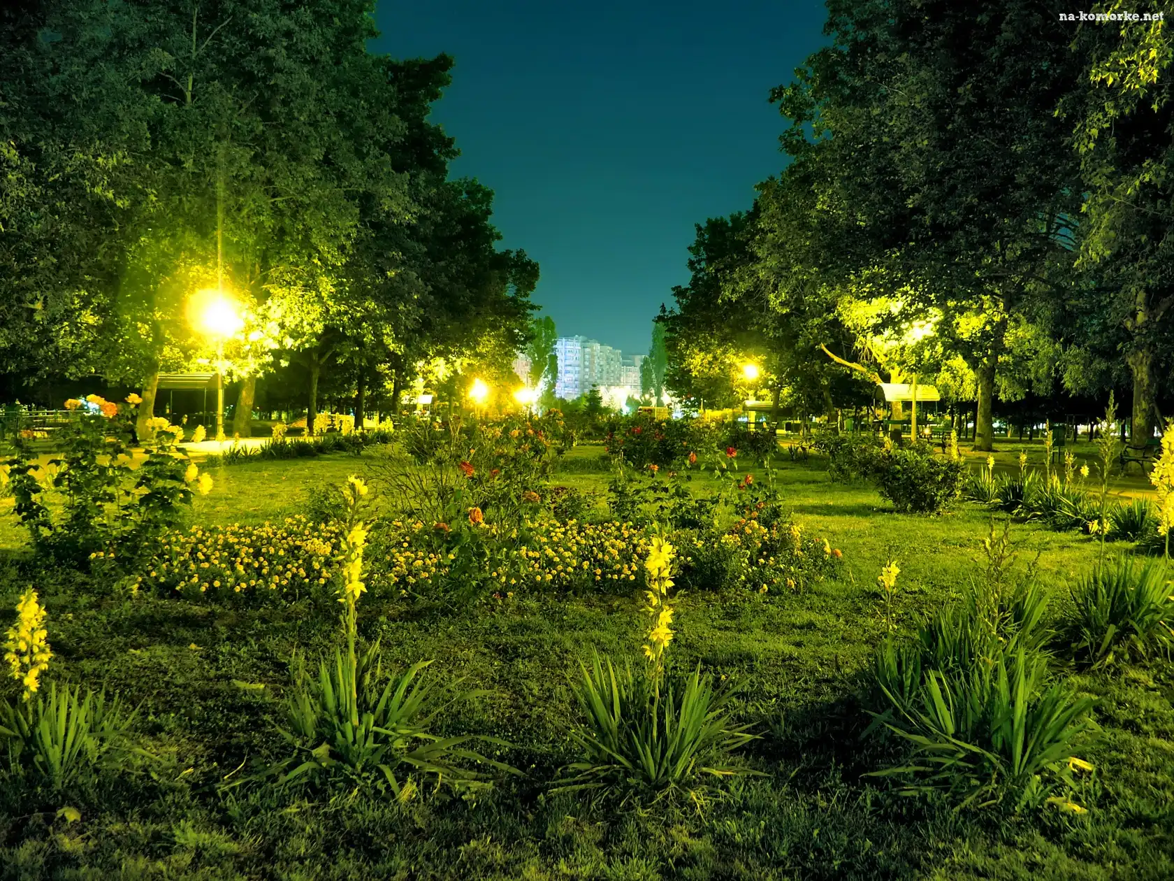 Bukareszt, NocÄ…, Crangasi, Park