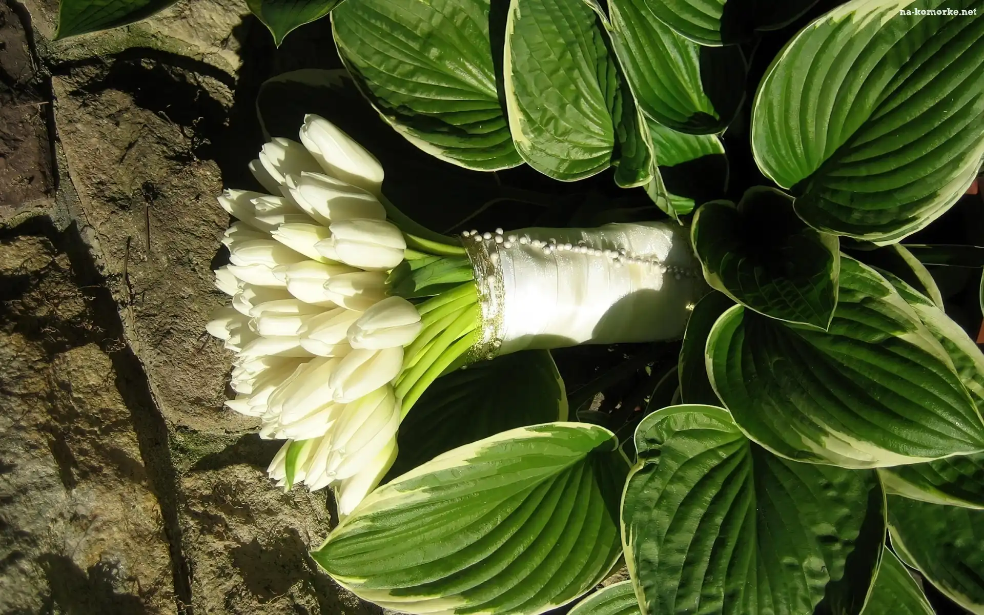 Bukiet, Liście, Białe, Tulipany