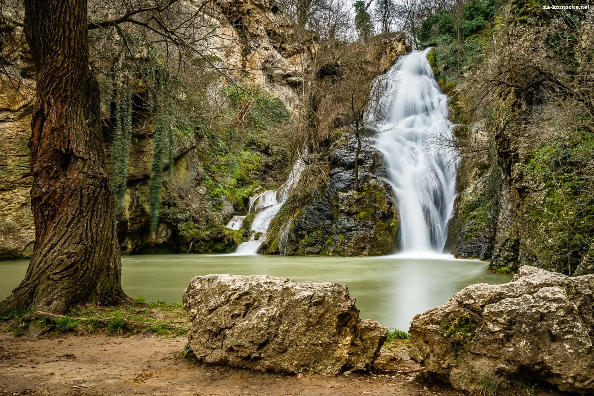 Bułgaria, Drzewa, Gmina Veliko Turnovo, Kamienie, Hotnitsa, Rezerwat przyrody, Waterval van Hotnitsa, Wodospad Kaya Bunar