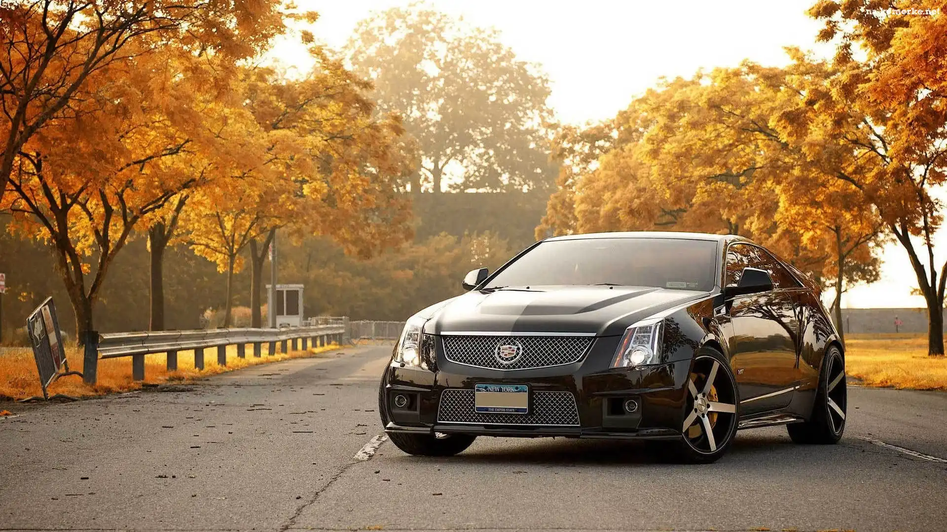 Cadillac, Droga, CTS-V, Drzewa