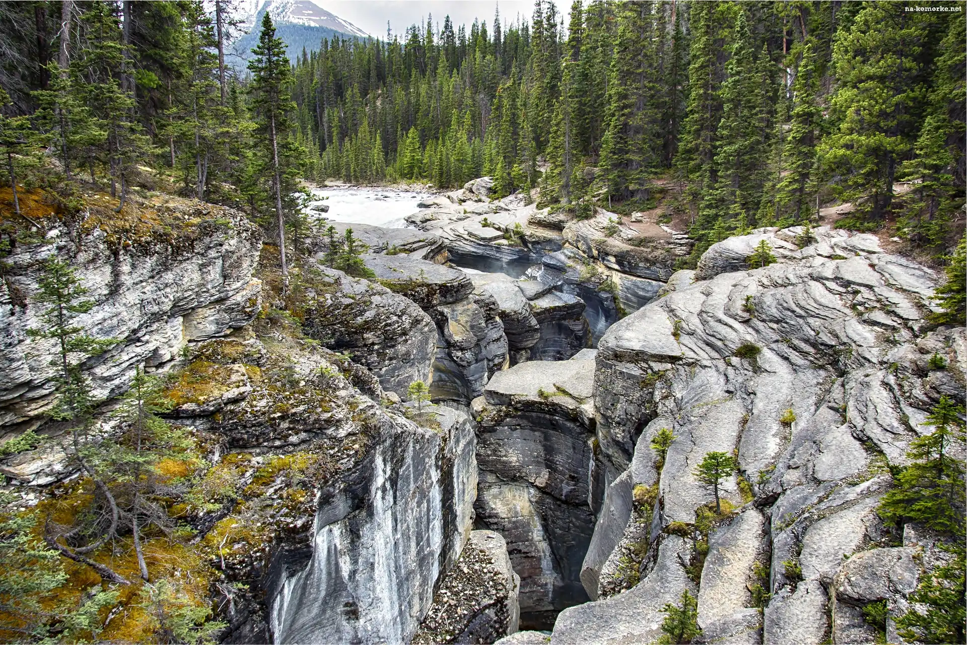 Kanada, Mistaya Canyon, Rzeka, Prowincja Alberta, Park Narodowy Banff, Góry, Las