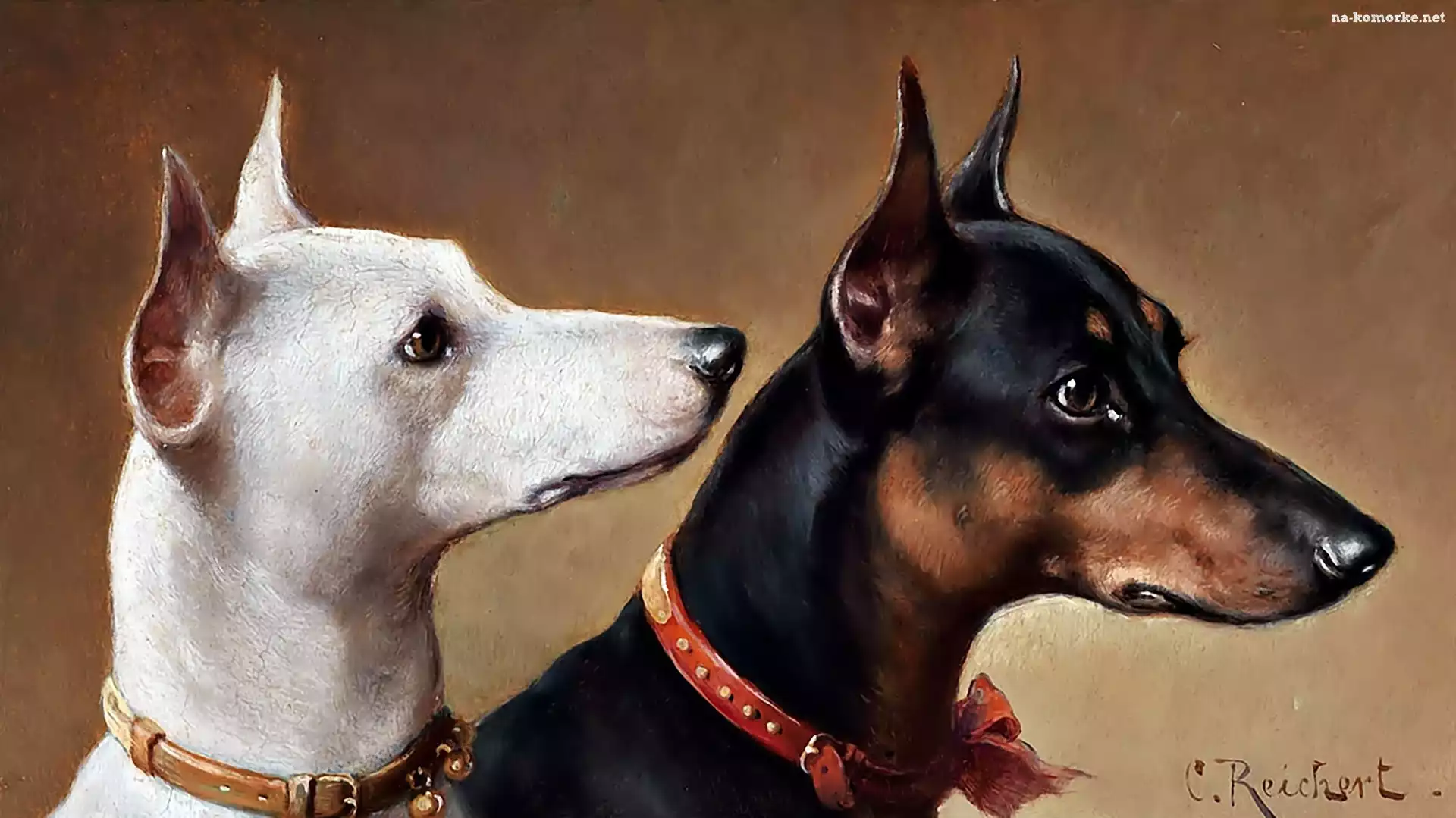 Carl Reichert, Dobermany, Obraz