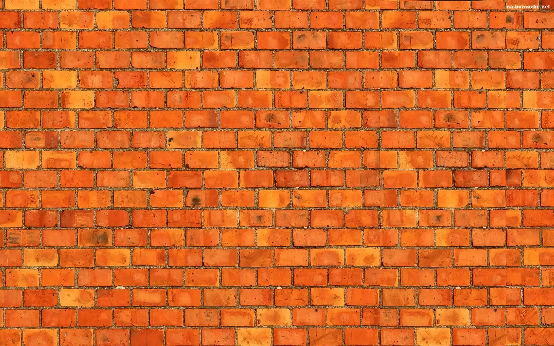 Cegła, Mur