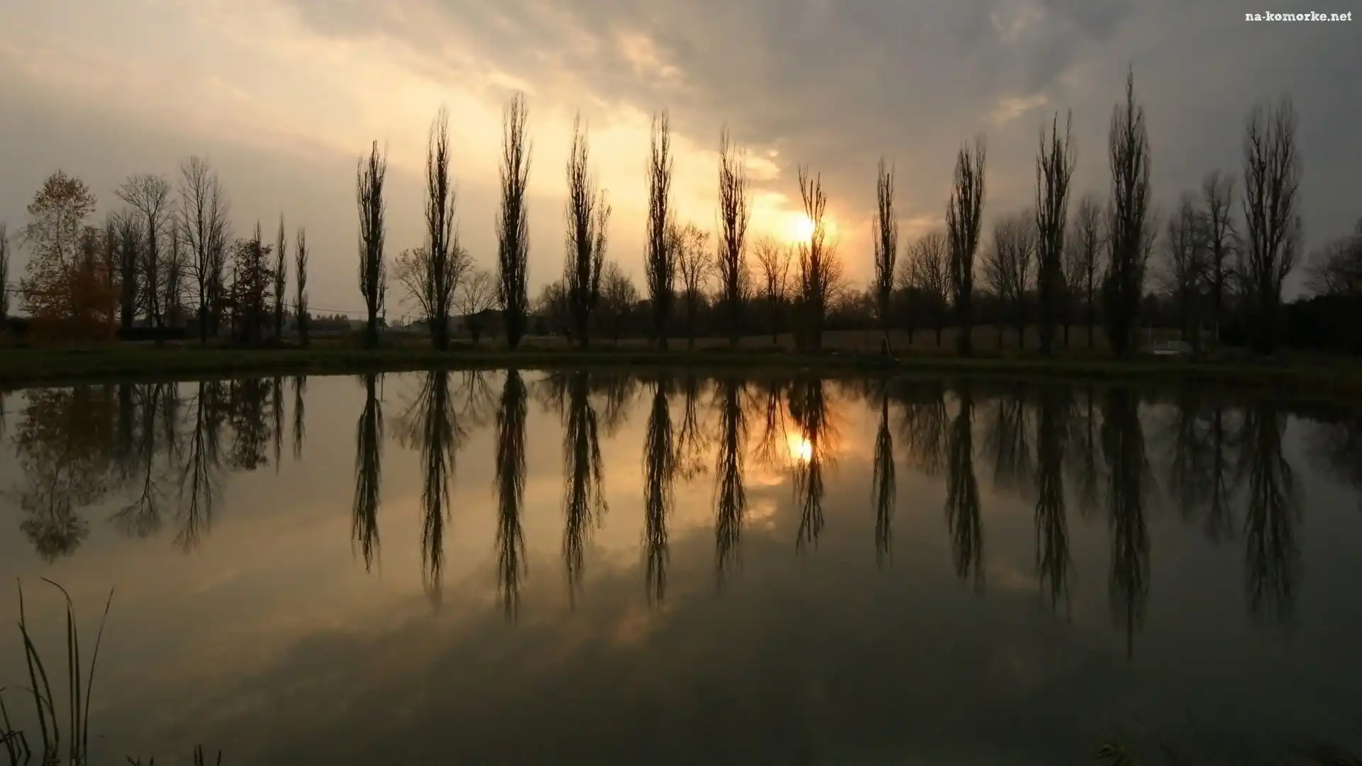 Chmury, Odbicie, Drzewa, Jezioro