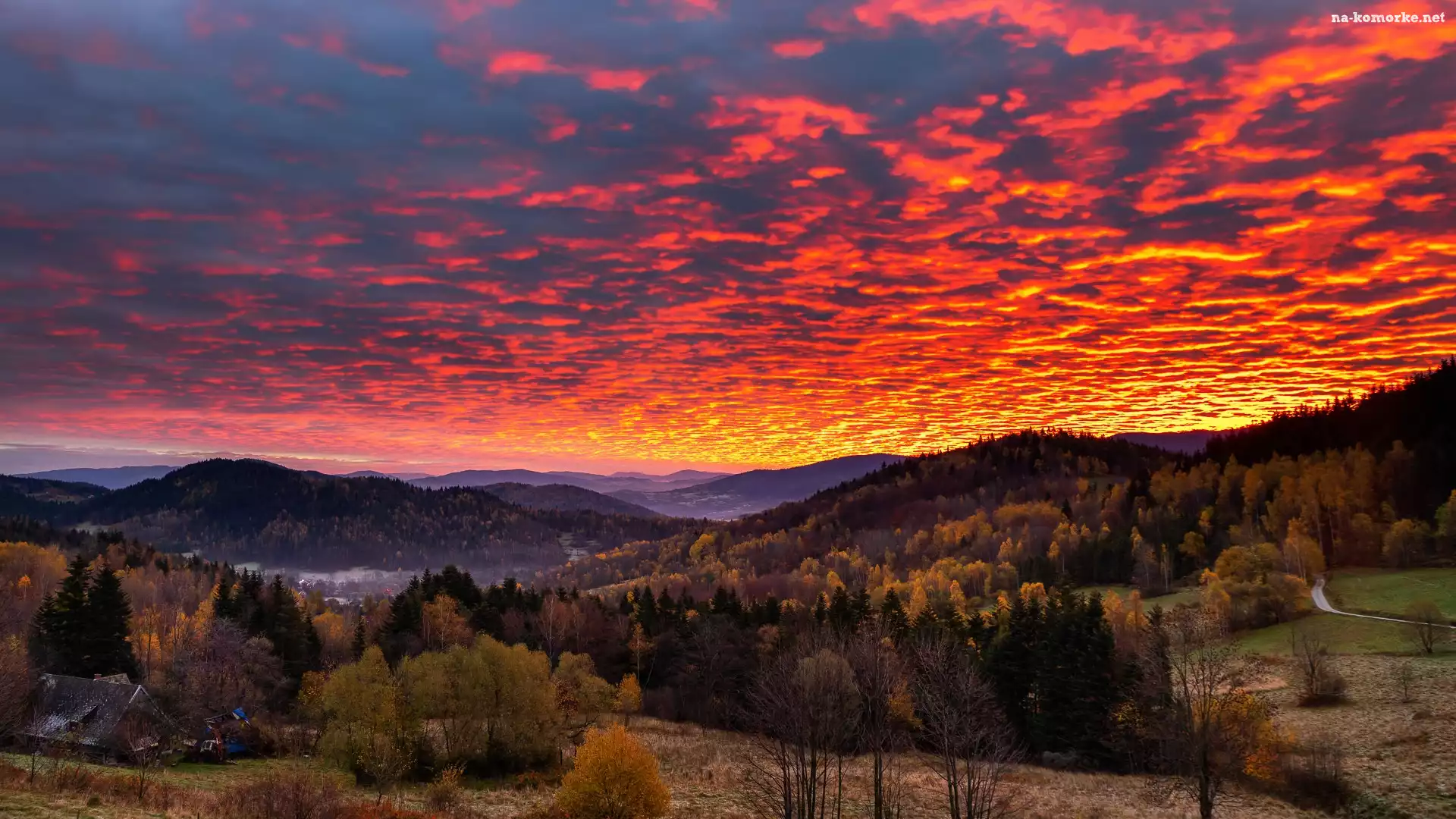 Góry, Zawoja, Drzewa, Polska, Lasy, Jesień, Wschód słońca, Chmury