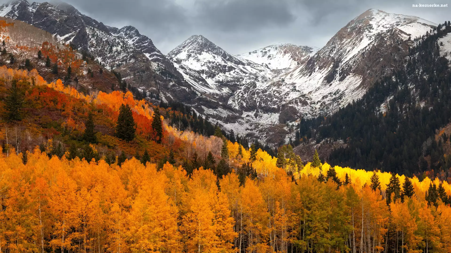 Drzewa, Jesień, Pożółkłe, Chmury, Las, Góry