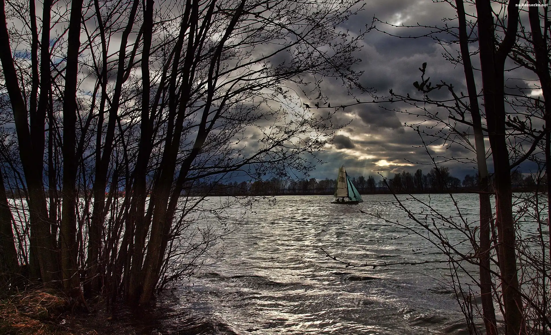 Chmury, Żaglówka, Jezioro, Drzewa