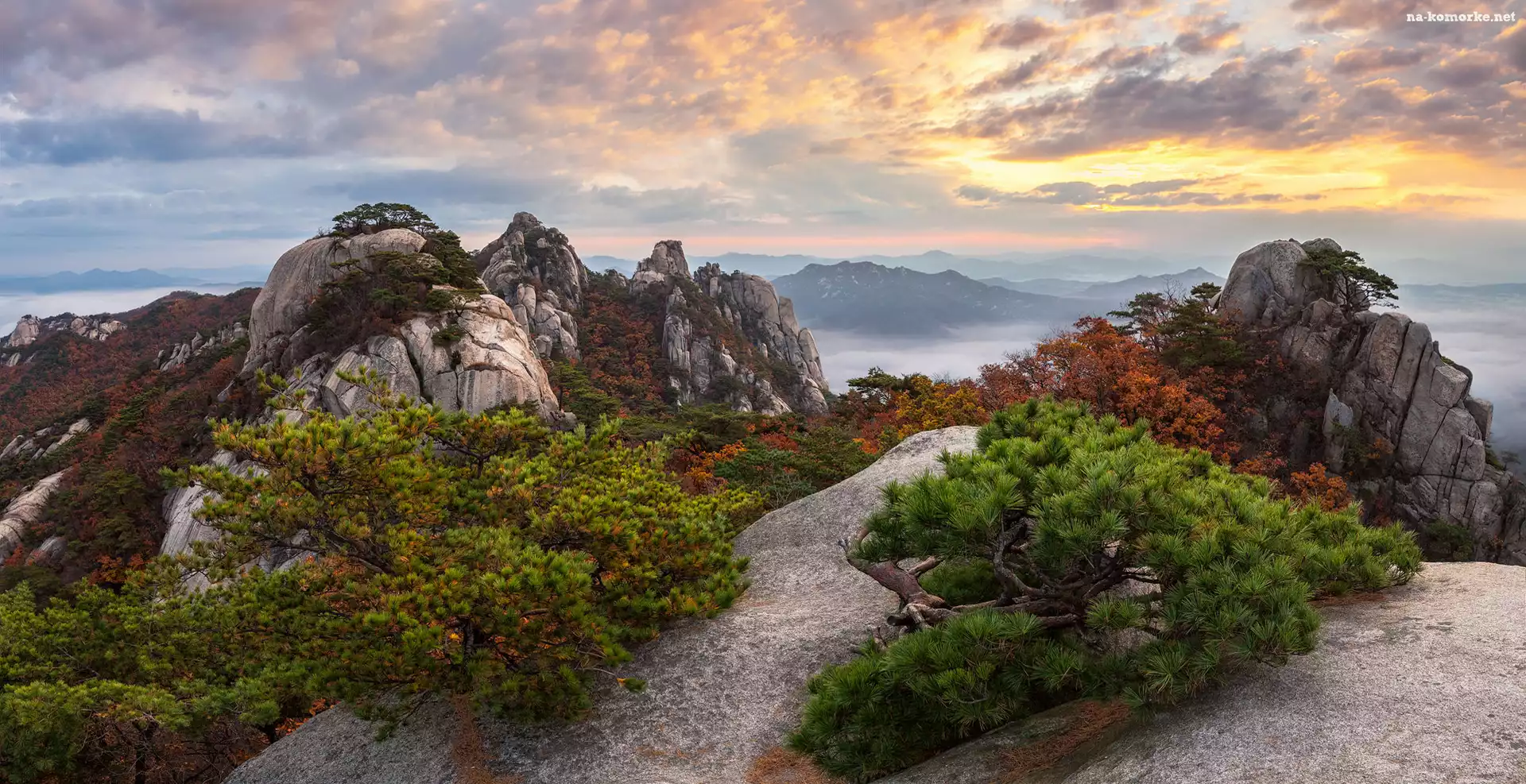 Chmury, Góry, Góra Dobongsan, Skały, Korea Południowa, Drzewa, Prowincja Gyeonggi-do, Wschód słońca, Park Narodowy Bukhansan