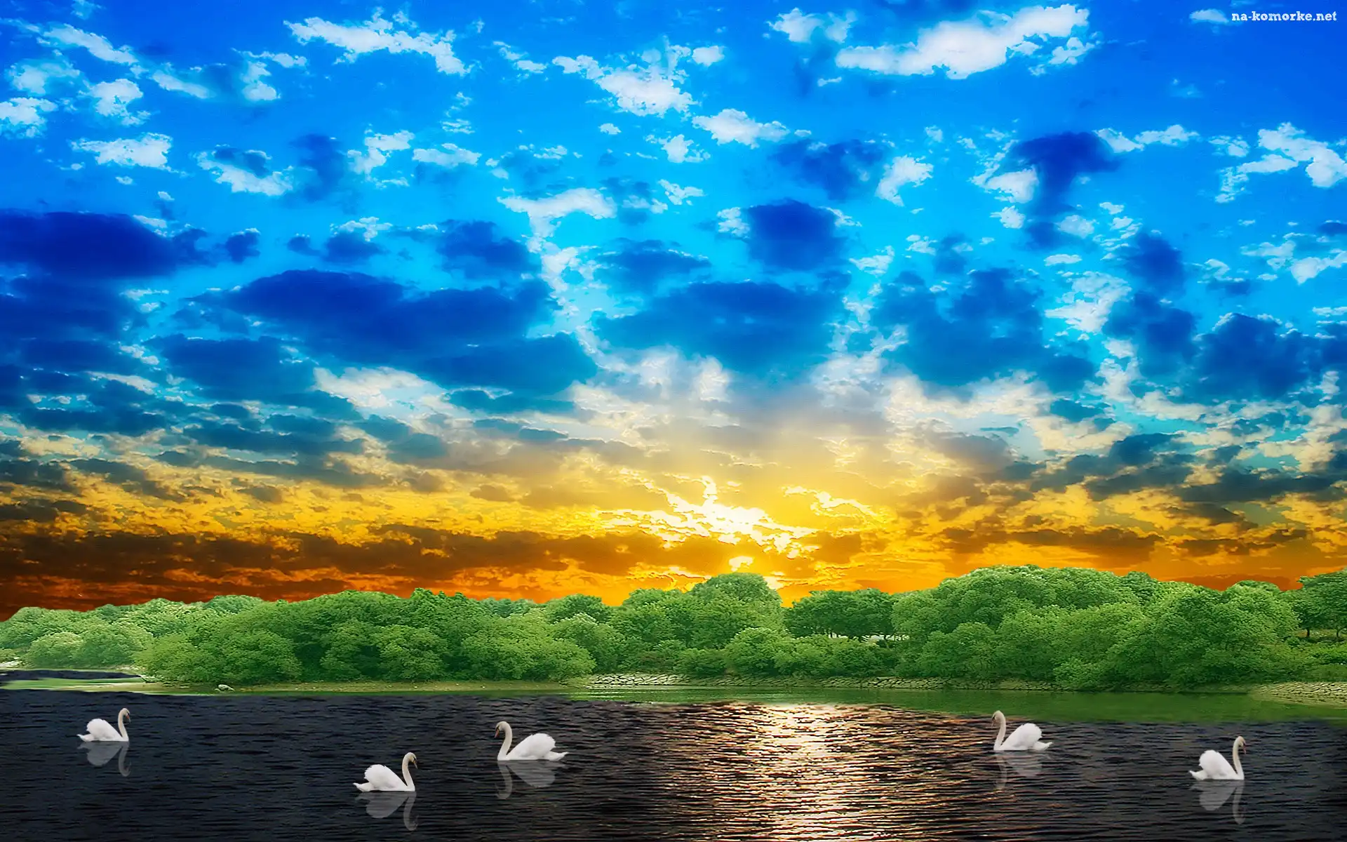 Łabędzie, Zachód, Słońca, Chmury, Jezioro