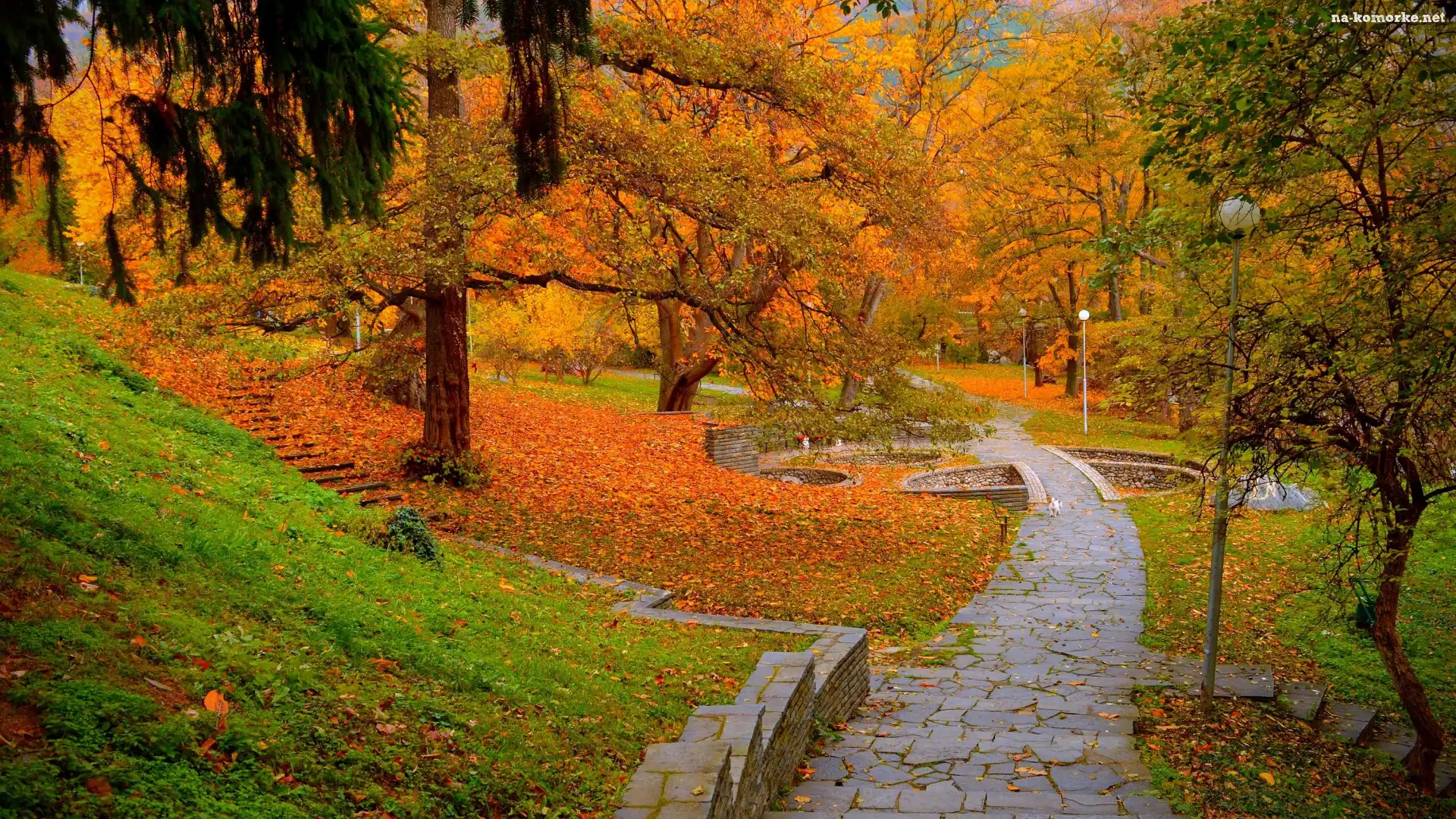 Chodnik, Jesień, Drzewa, Latarnie, Park