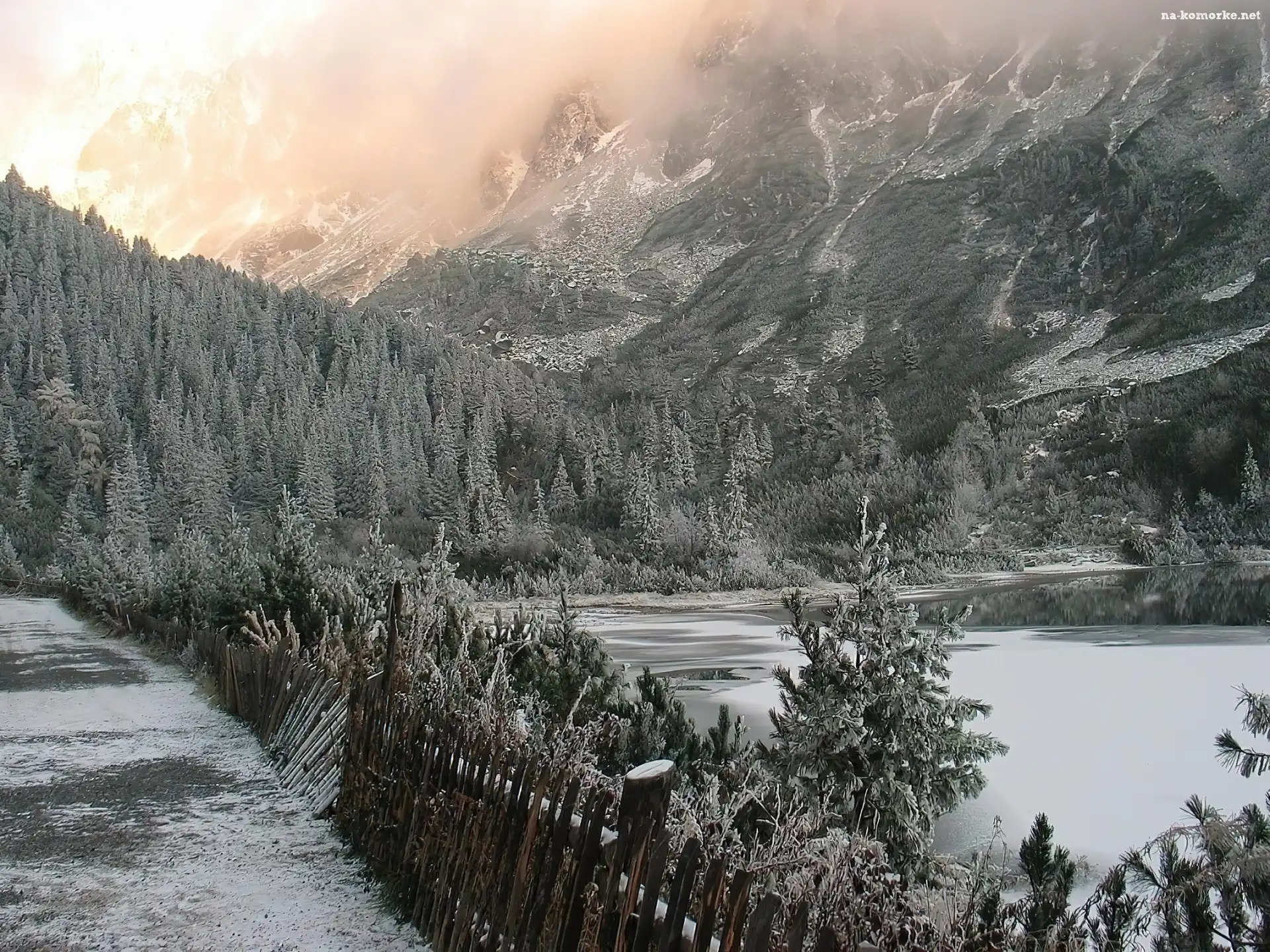 Góry, choinki, mróz