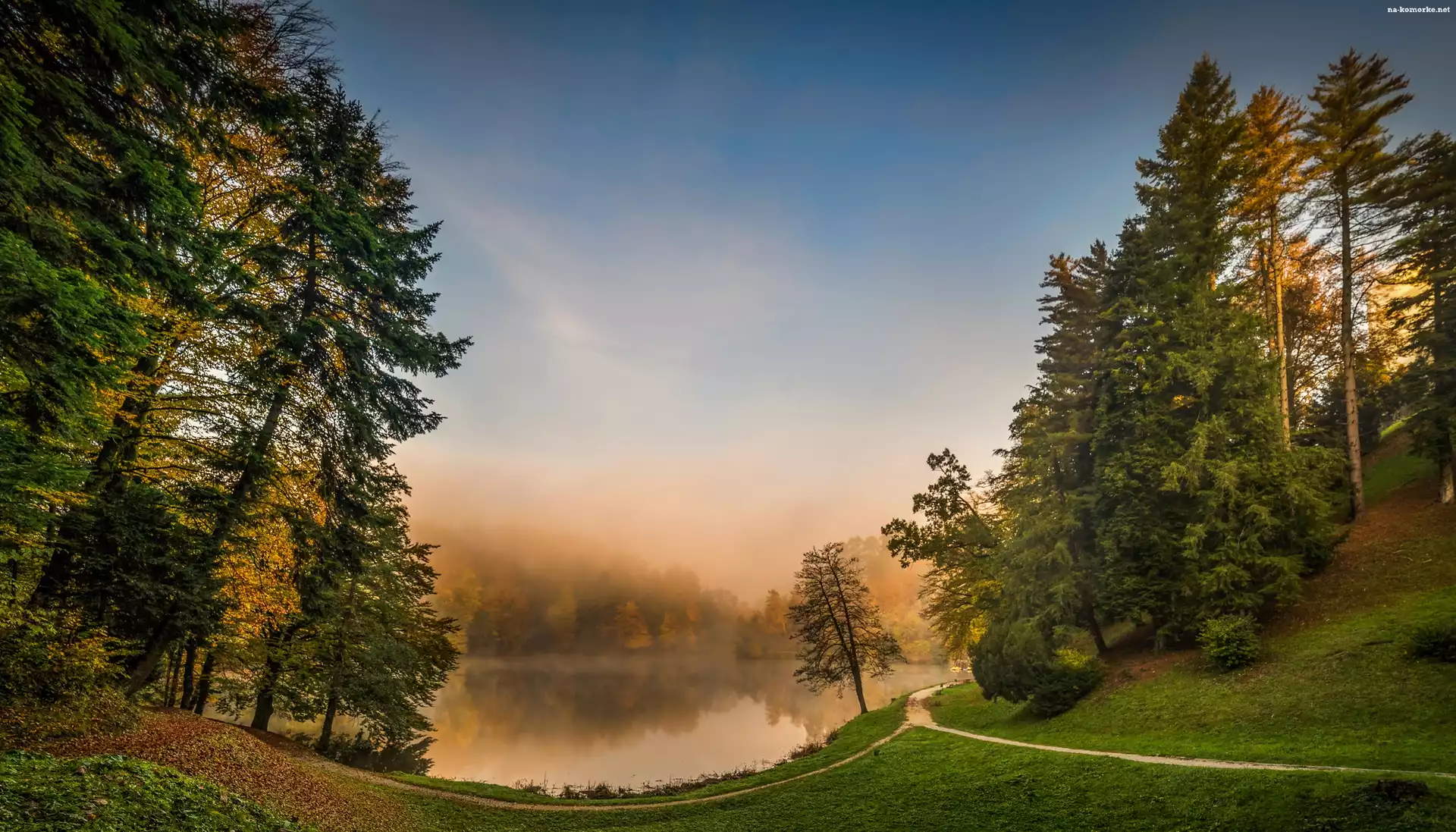 Chorwacja, Jezioro, Las, Mgła, Świt