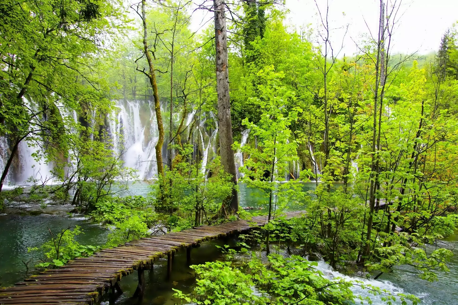 Chorwacja, Wodospad, Las, Pomost, Plitvice