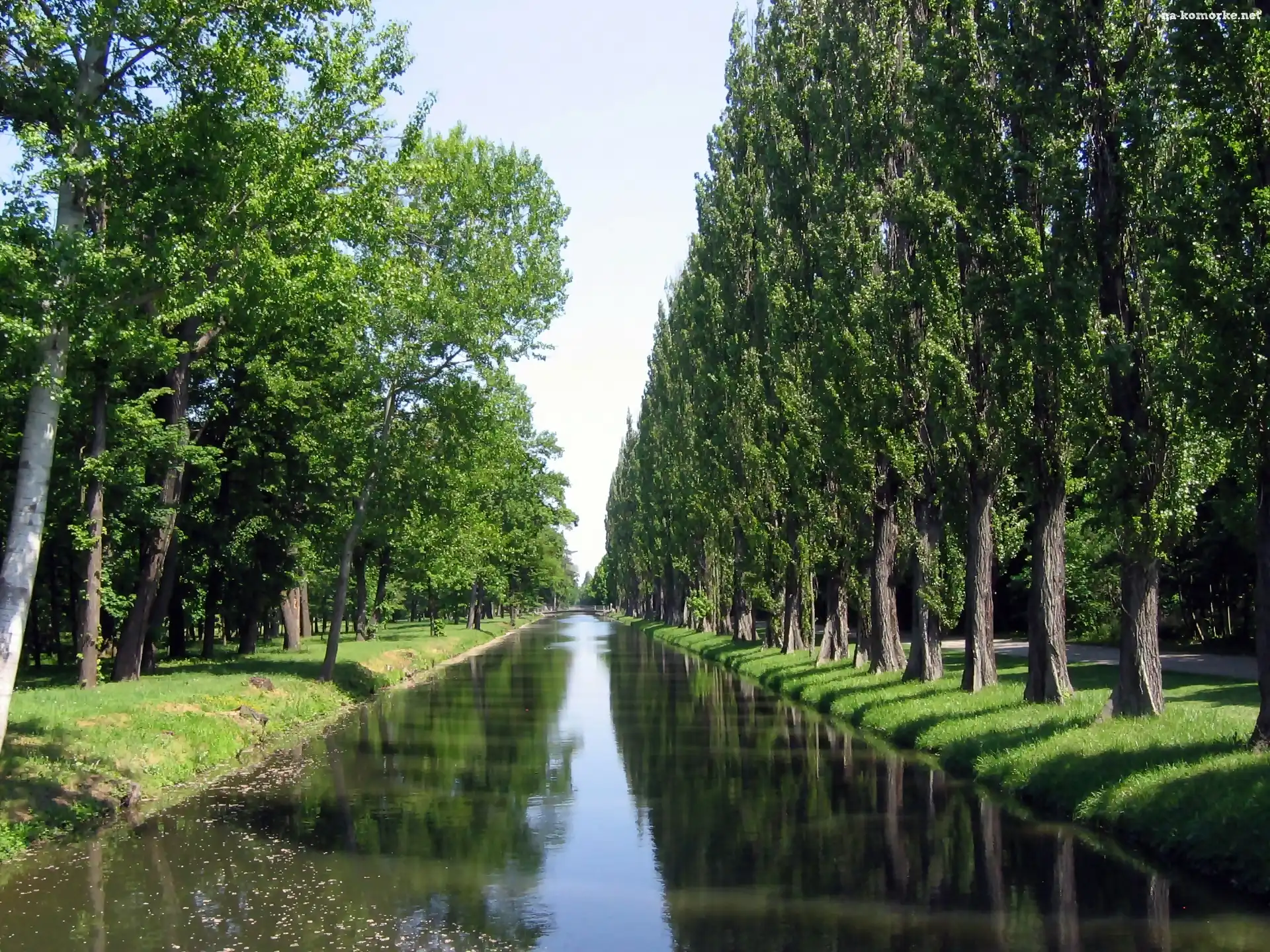 Cienie, Park, Aleja, Topolowa, Rzeka