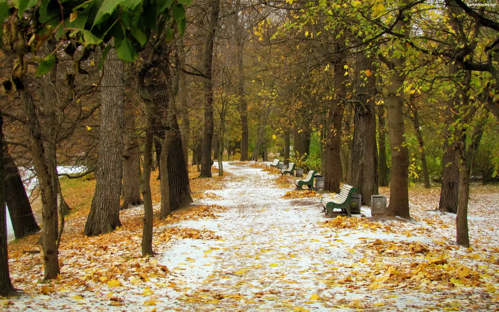 Park, Ścieżka, Ławki