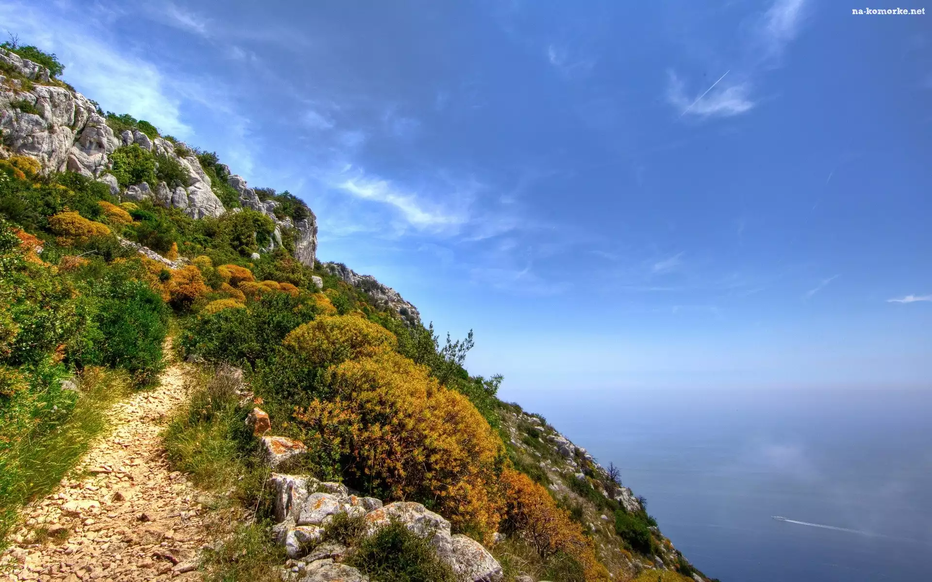 Stok, Ścieżka, Morze