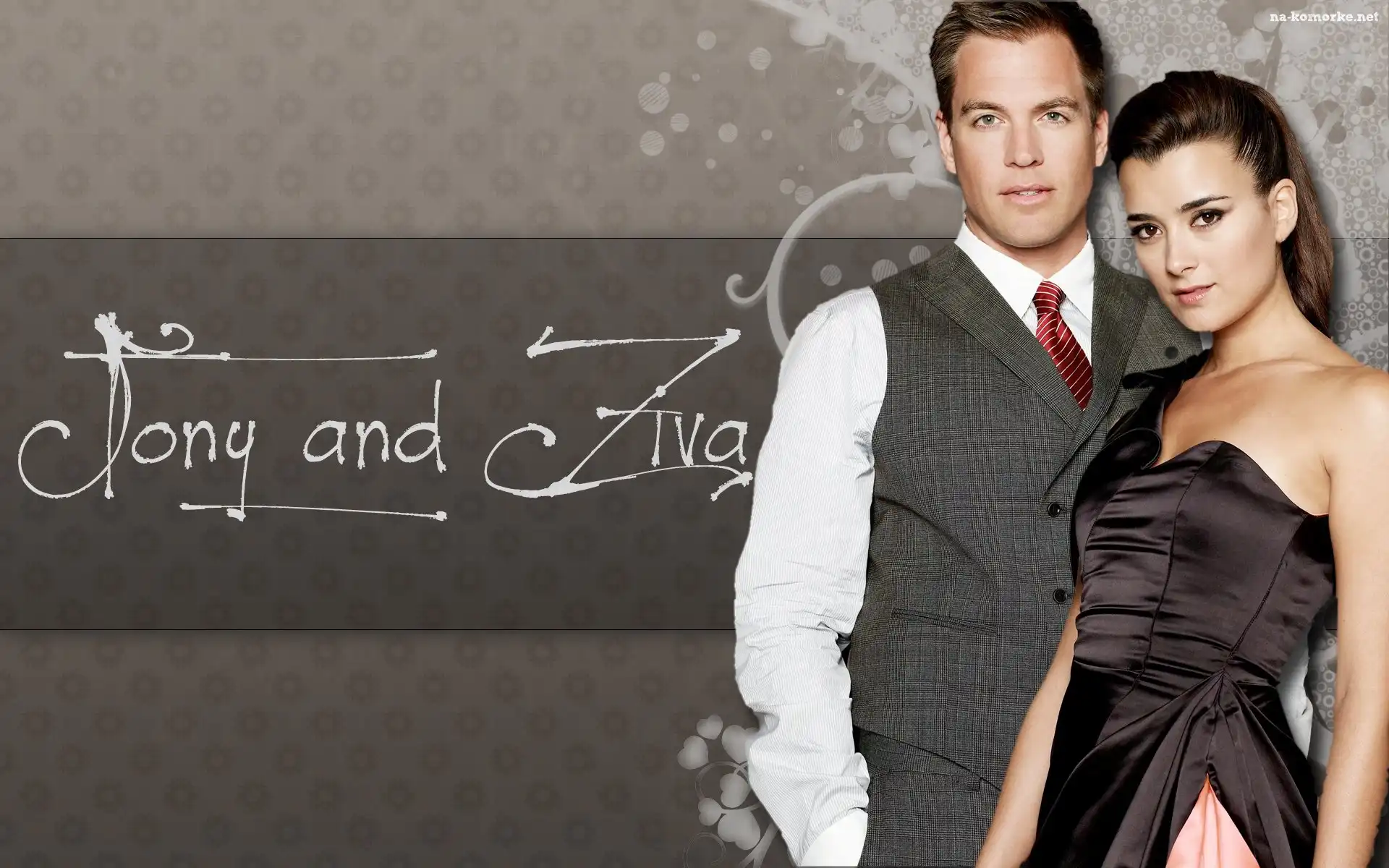 Seriale, Cote de Pablo, Agenci NCIS, Michael Weatherly