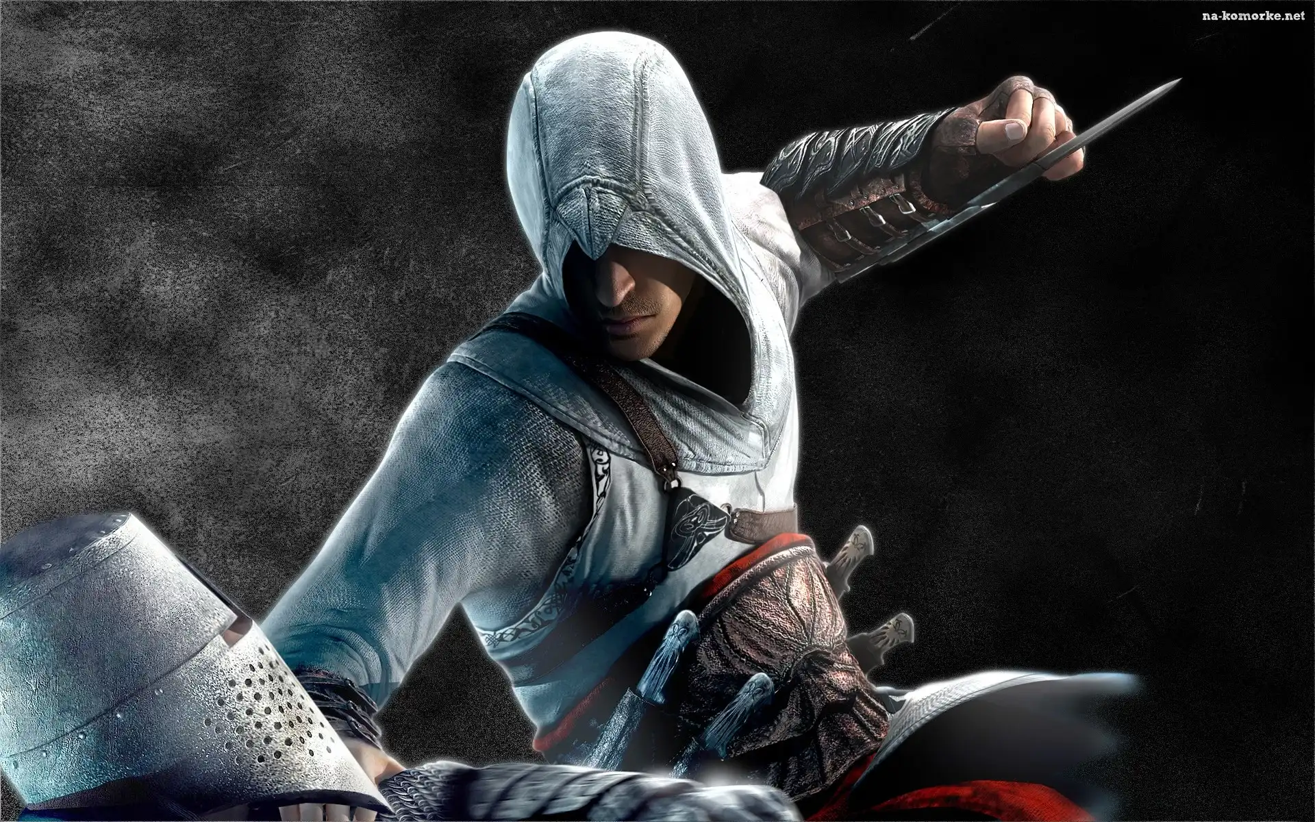 Assasins Creed, Wojownik