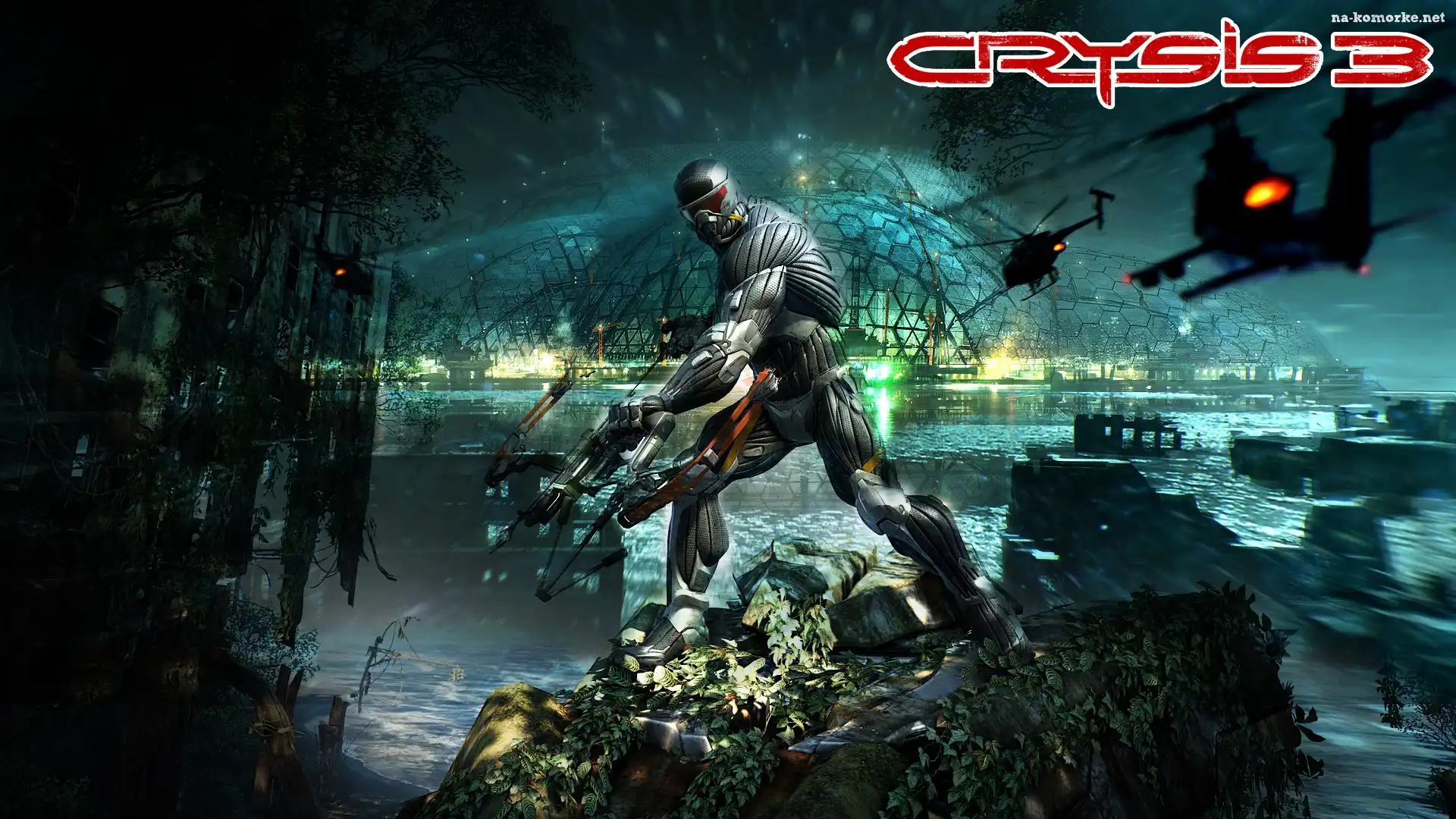 Crysis 3, Helikoptery, Kopuła