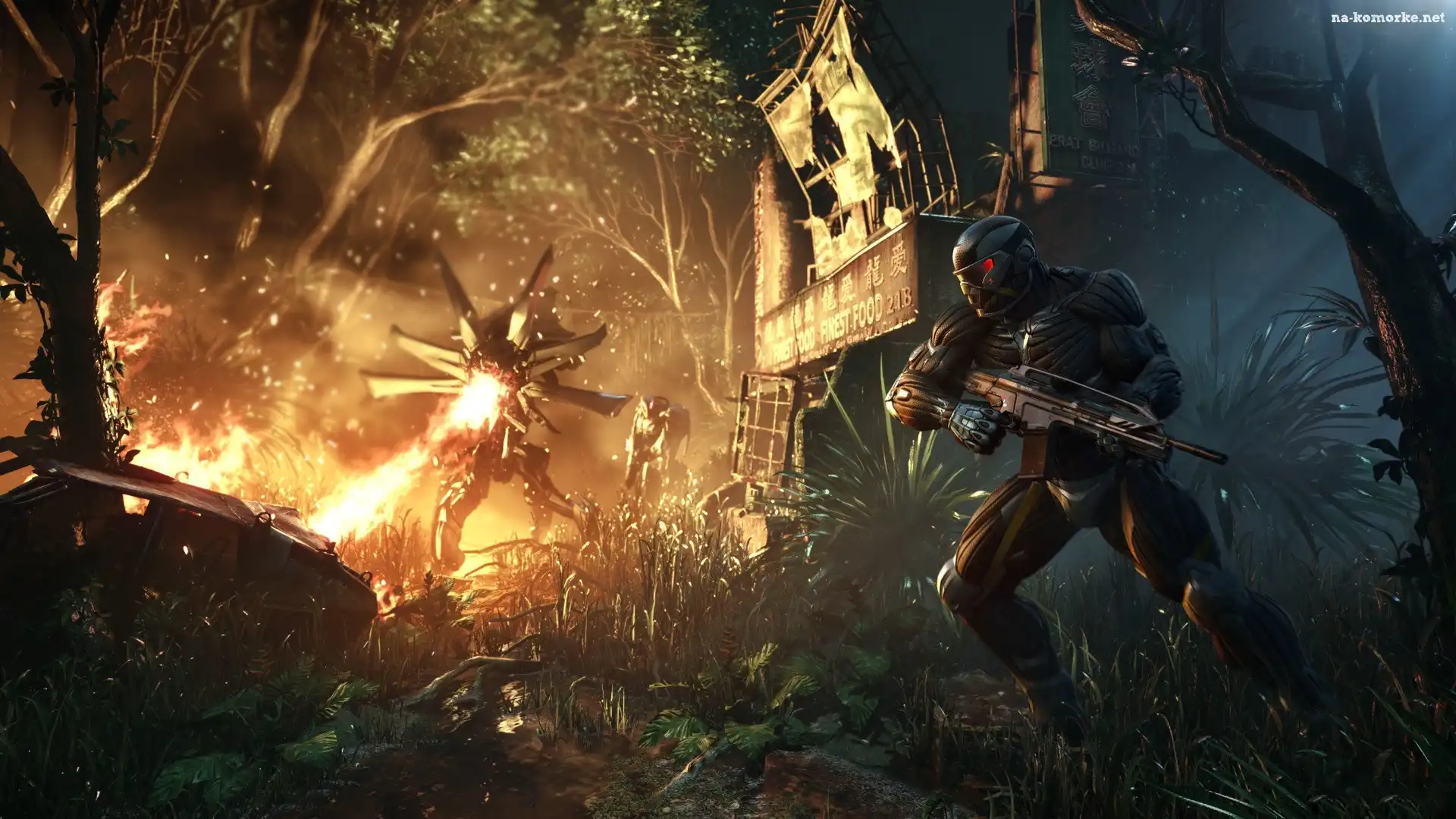 Crysis 3, Ogień, Postać, Broń