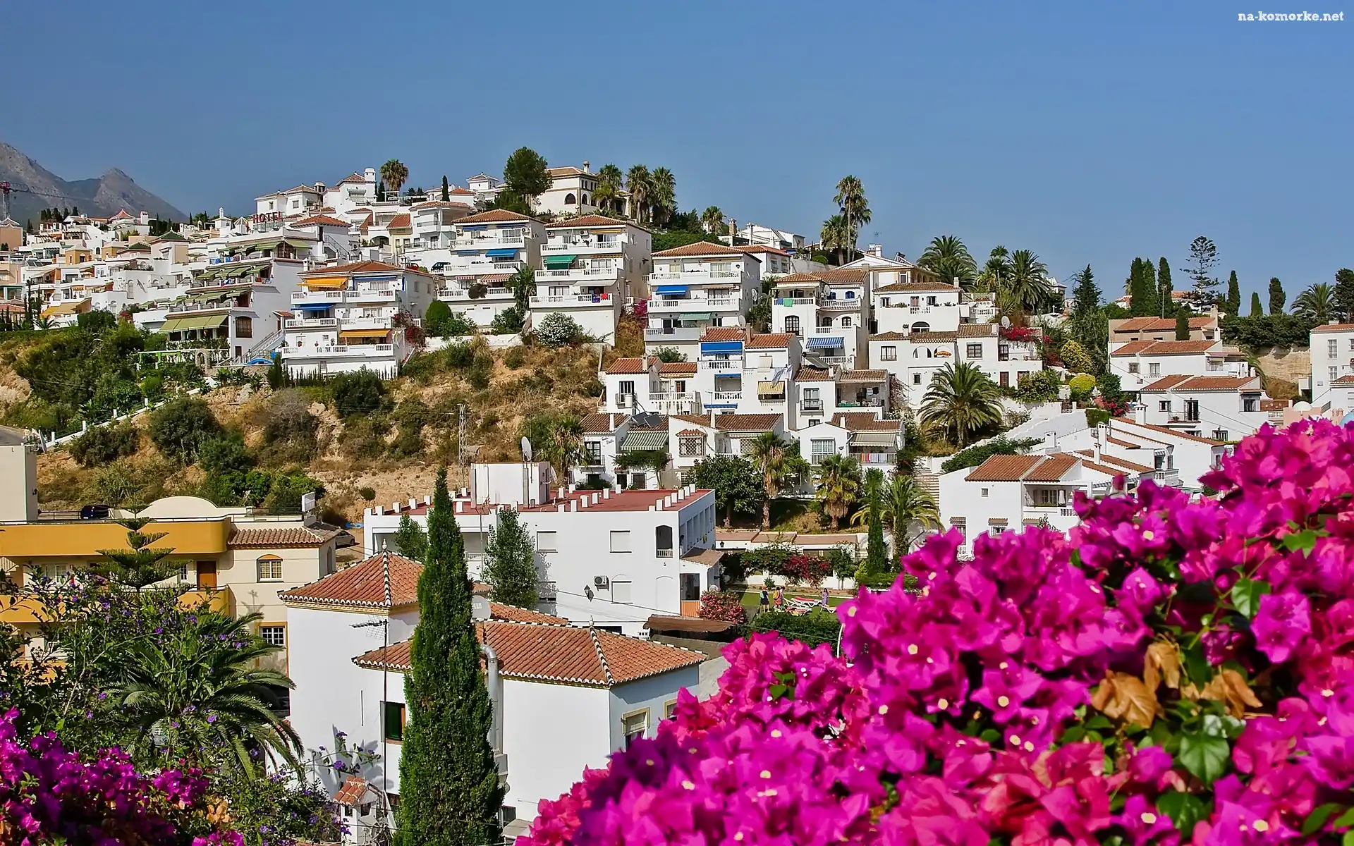 Costa, Kwitnąca, Nerja, Bugenwilla, Del Sol, Wille, Palmy, Cyprysy