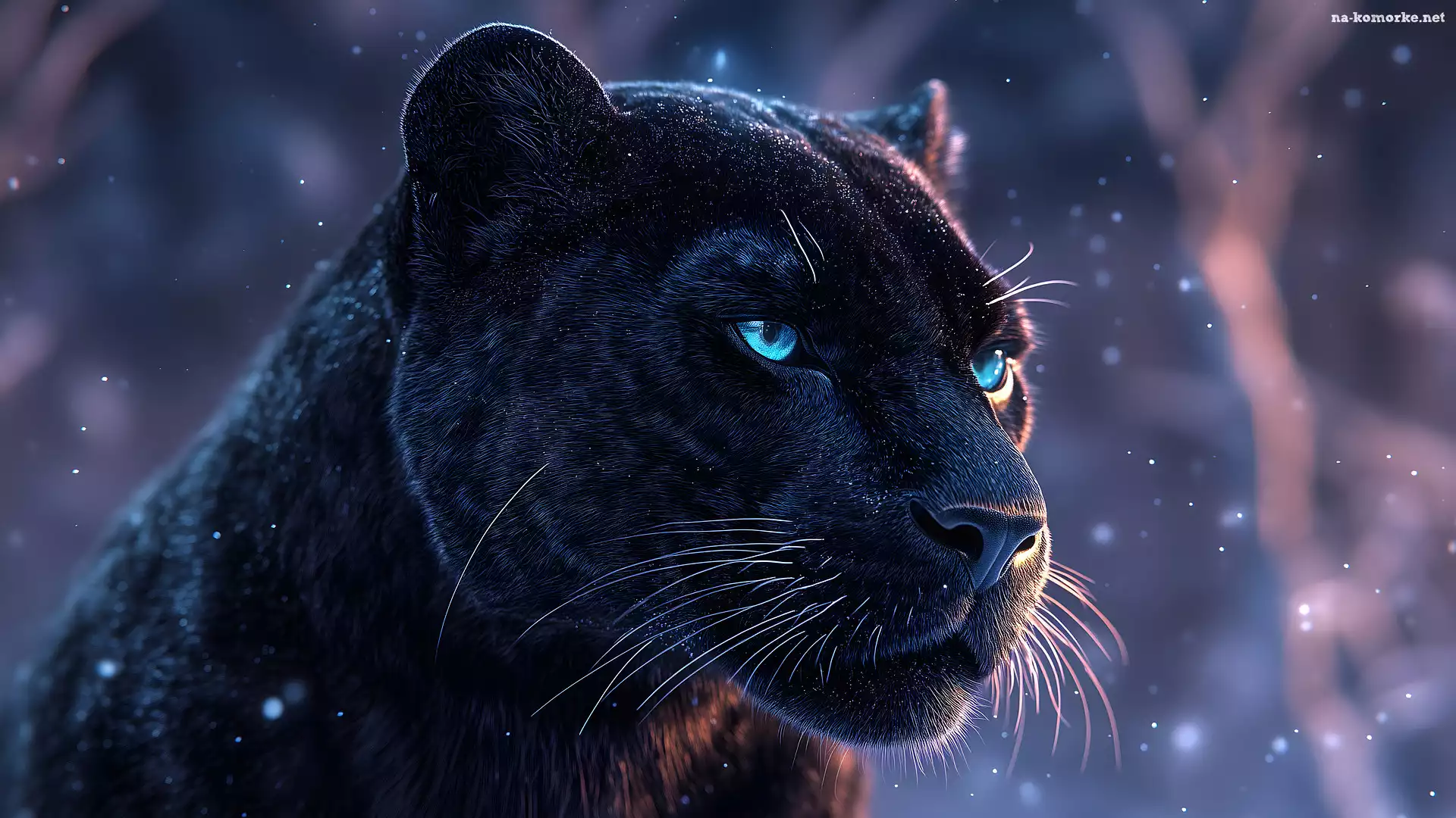 Jaguar amerykański, Pantera, Czarna
