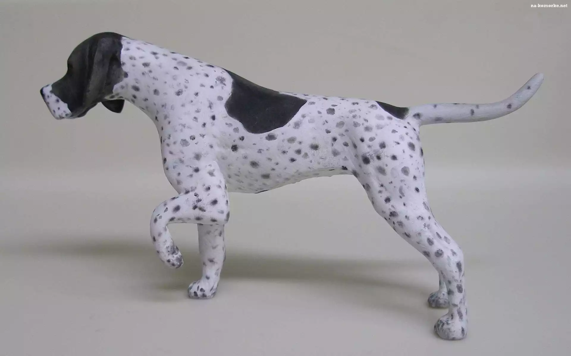 Pointer, czarne, kropki
