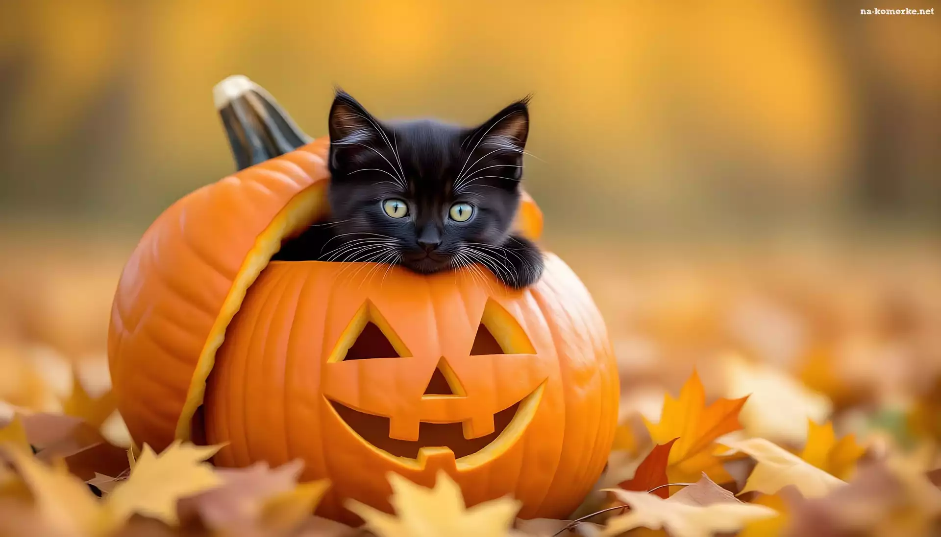 Czarny, Liście, Kot, Jesień, Dynia, Grafika AI, Mały, Halloween