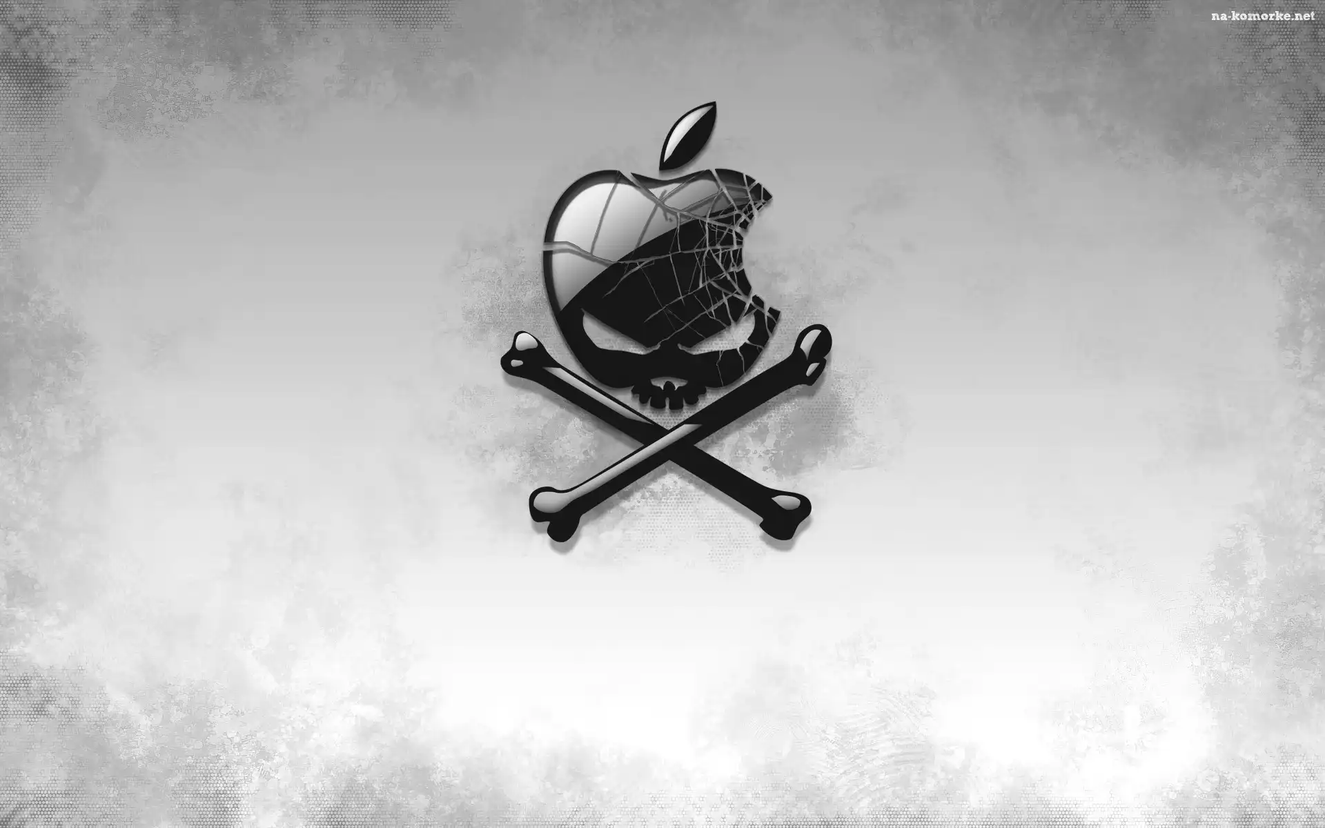 Czaszka, Apple